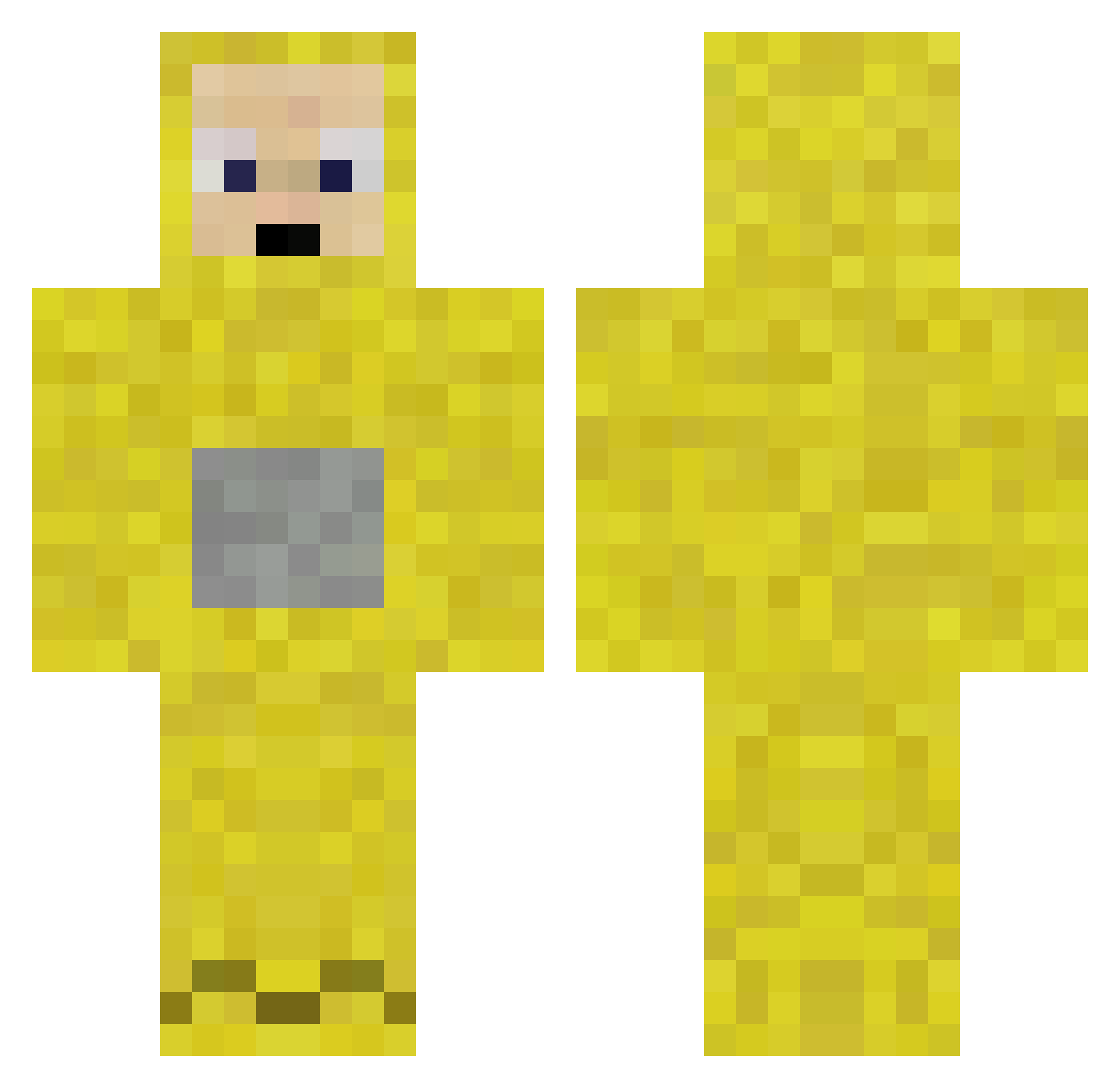 Tag_17 Minecraft skin, front and back view