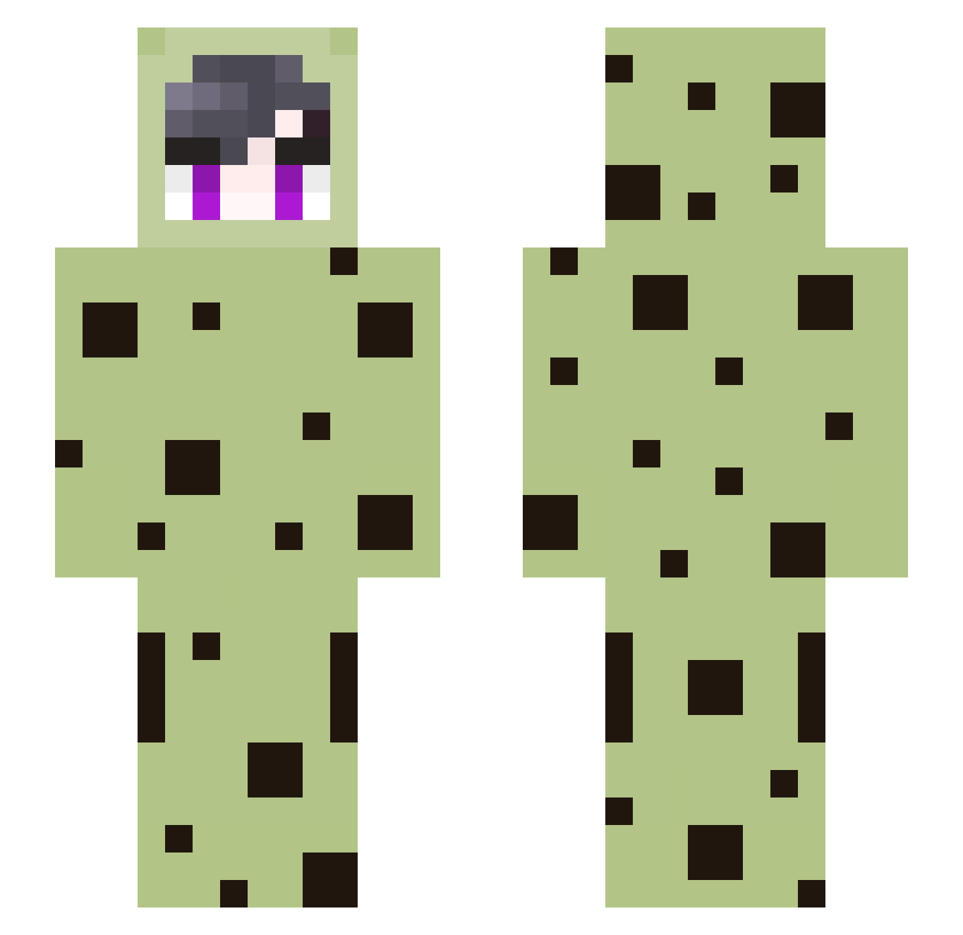 Veewoo Minecraft skin, front and back view