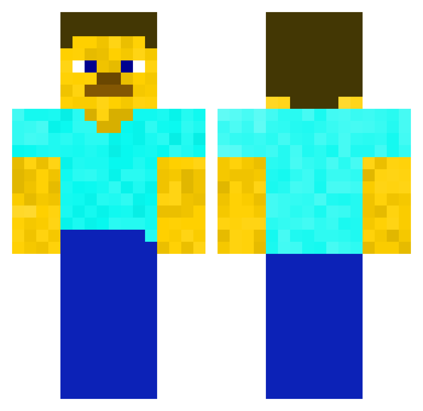 Shibes_and_Cats Minecraft skin, front and back view