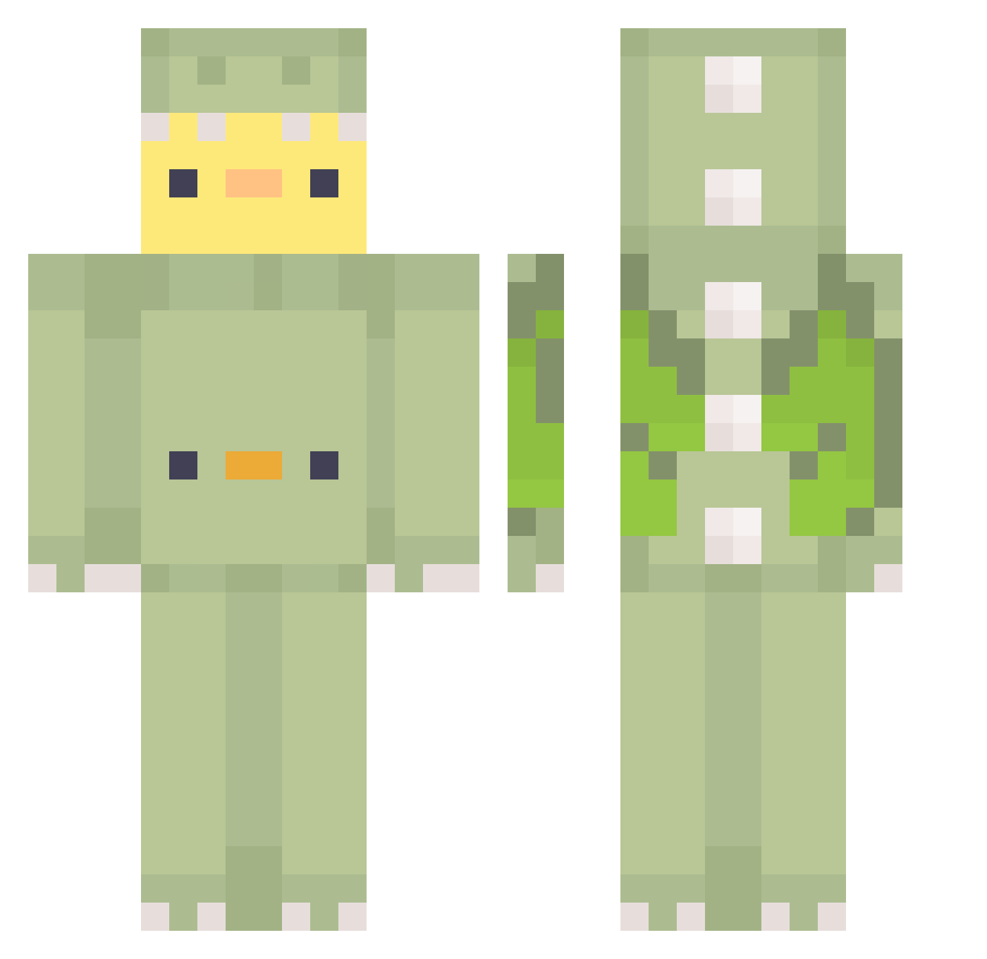 Cytlen Minecraft skin, front and back view