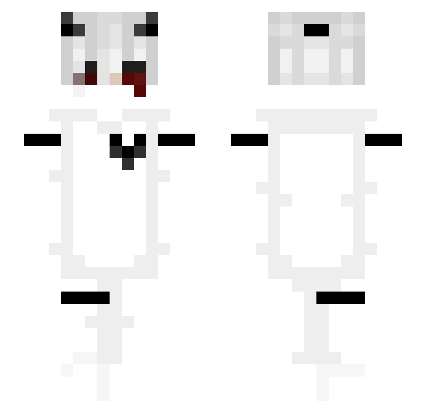 DaaHansii Minecraft skin, front and back view
