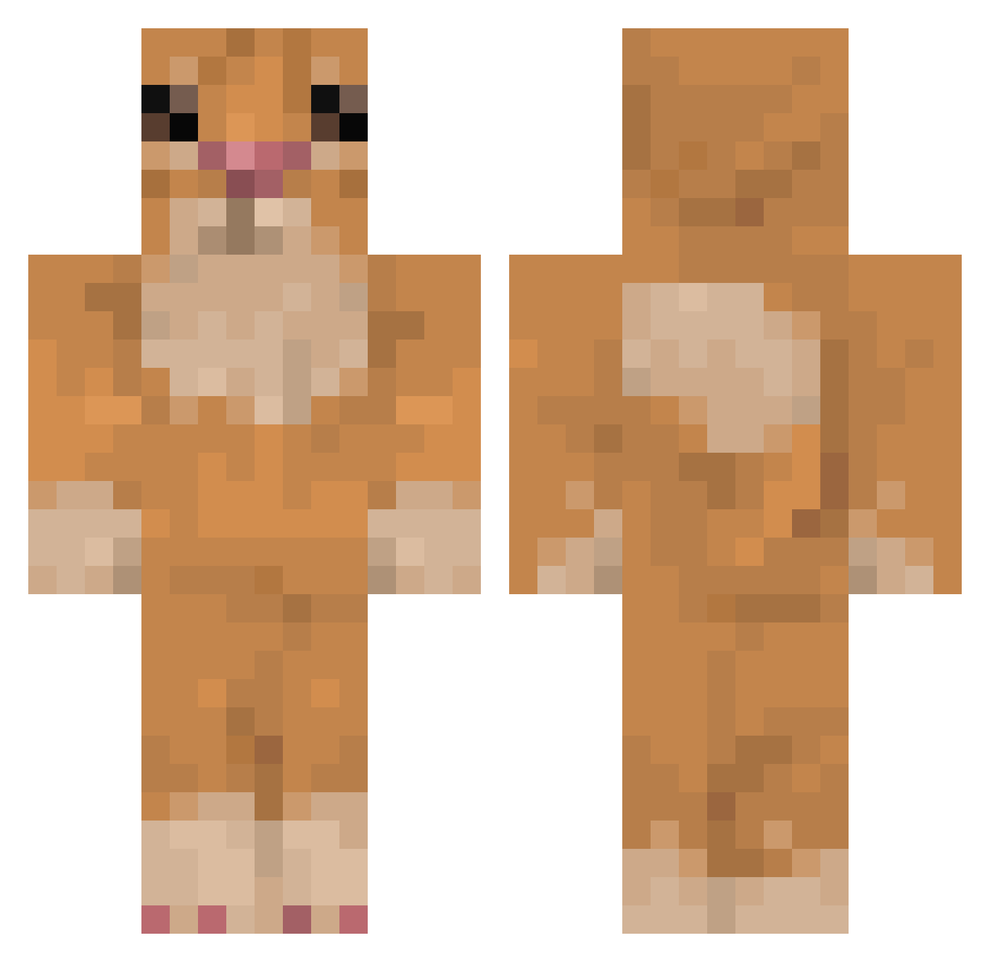 Suspenso Minecraft skin, front and back view