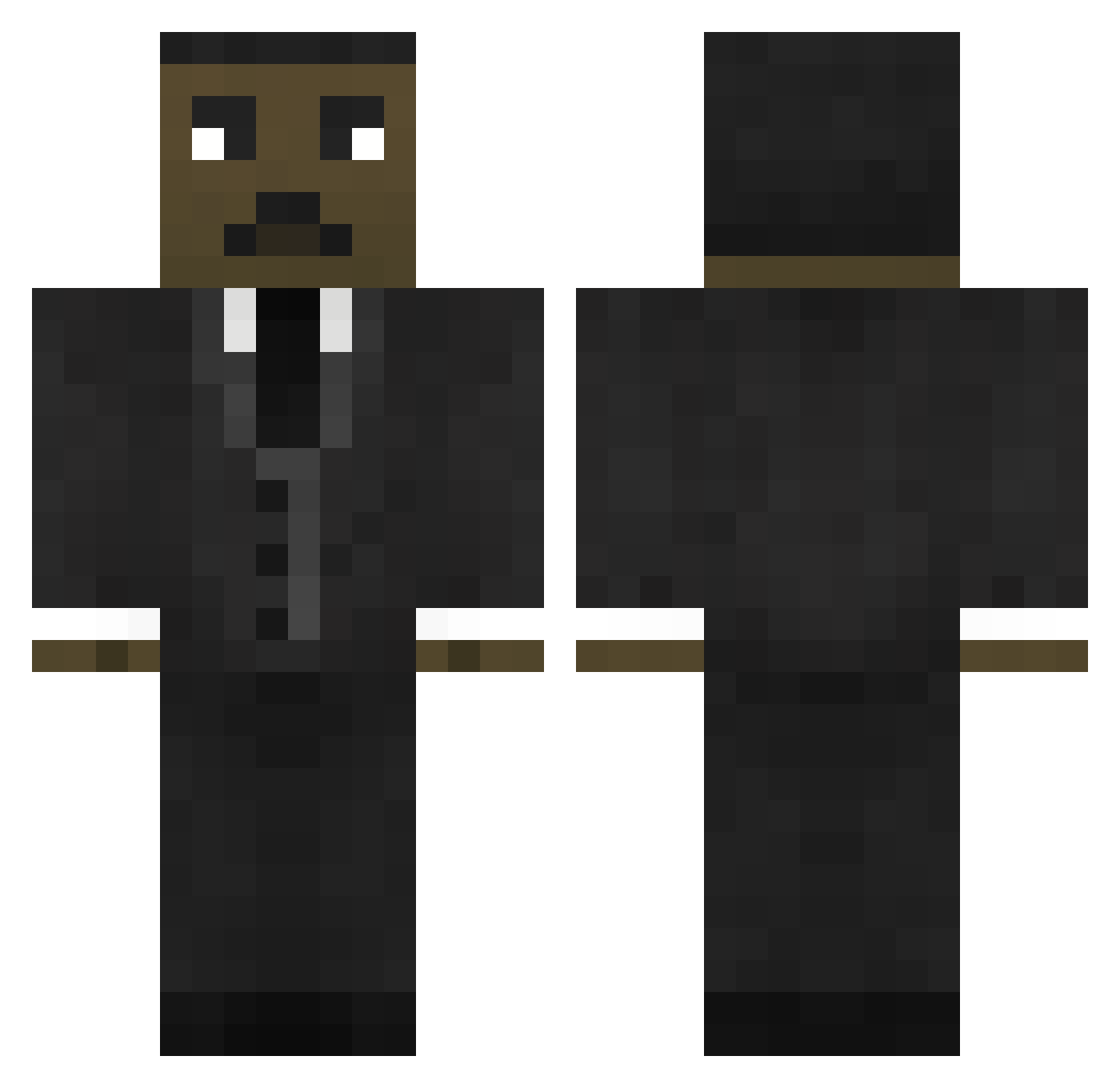 Anttwin Minecraft skin, front and back view