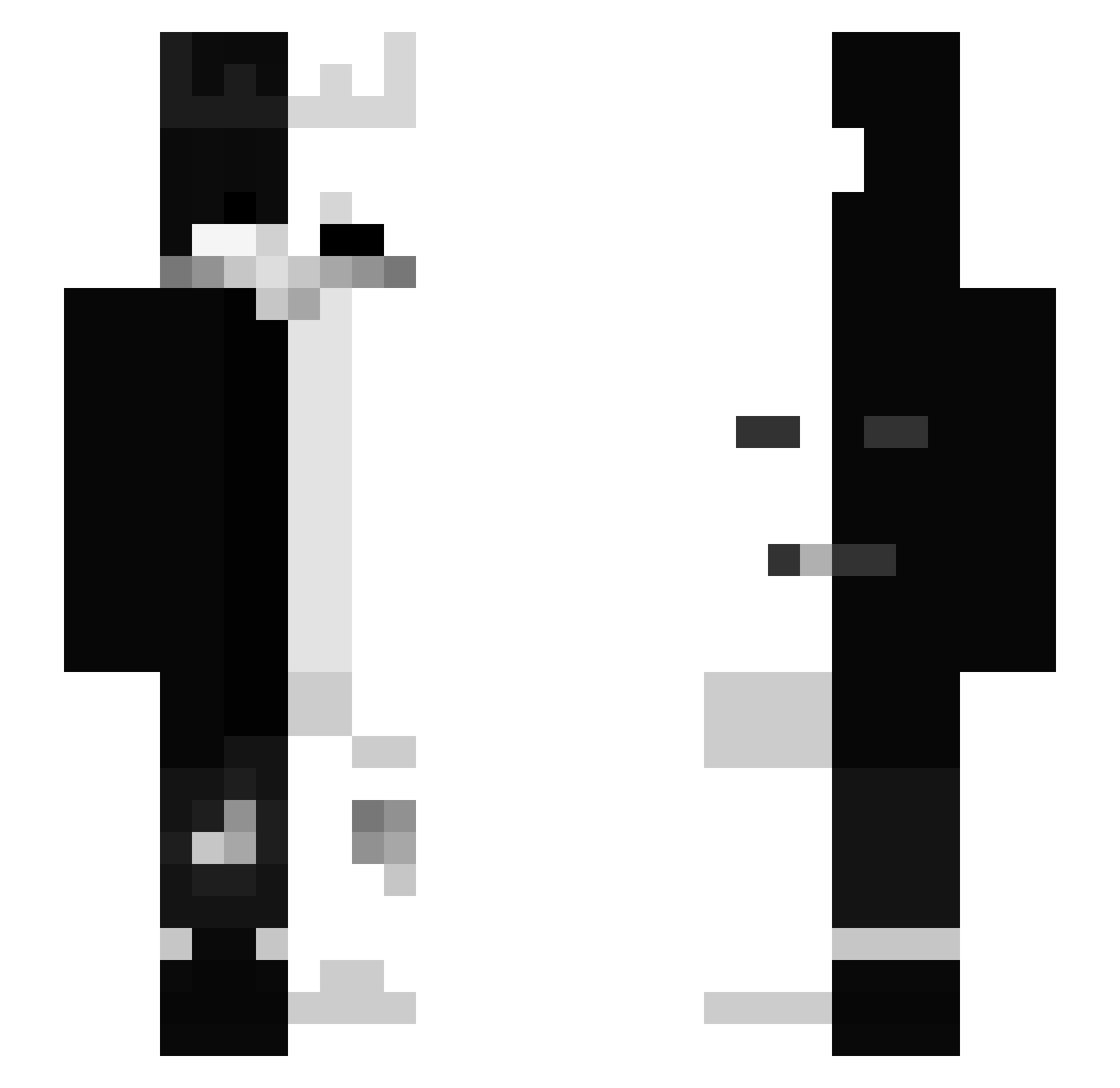 xMiiz Minecraft skin, front and back view