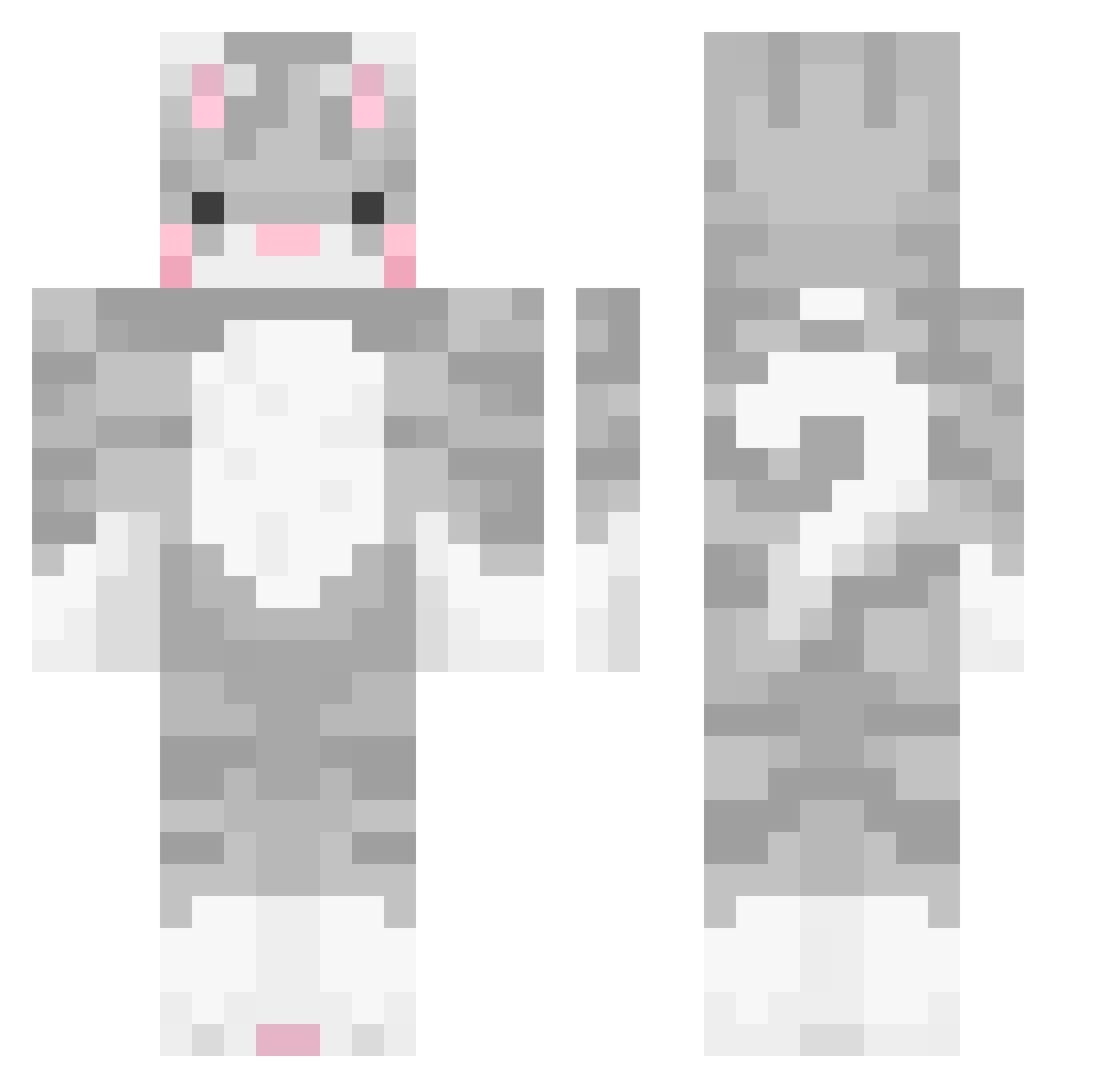 GrayAmIRight Minecraft skin, front and back view