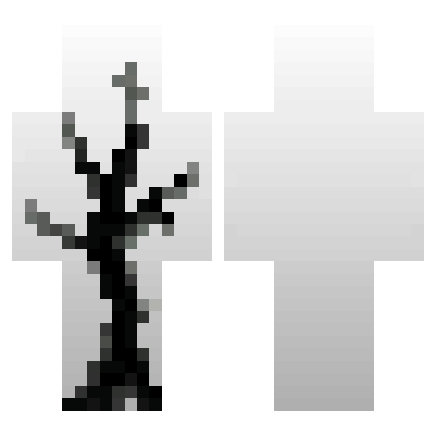 fredia Minecraft skin, front and back view