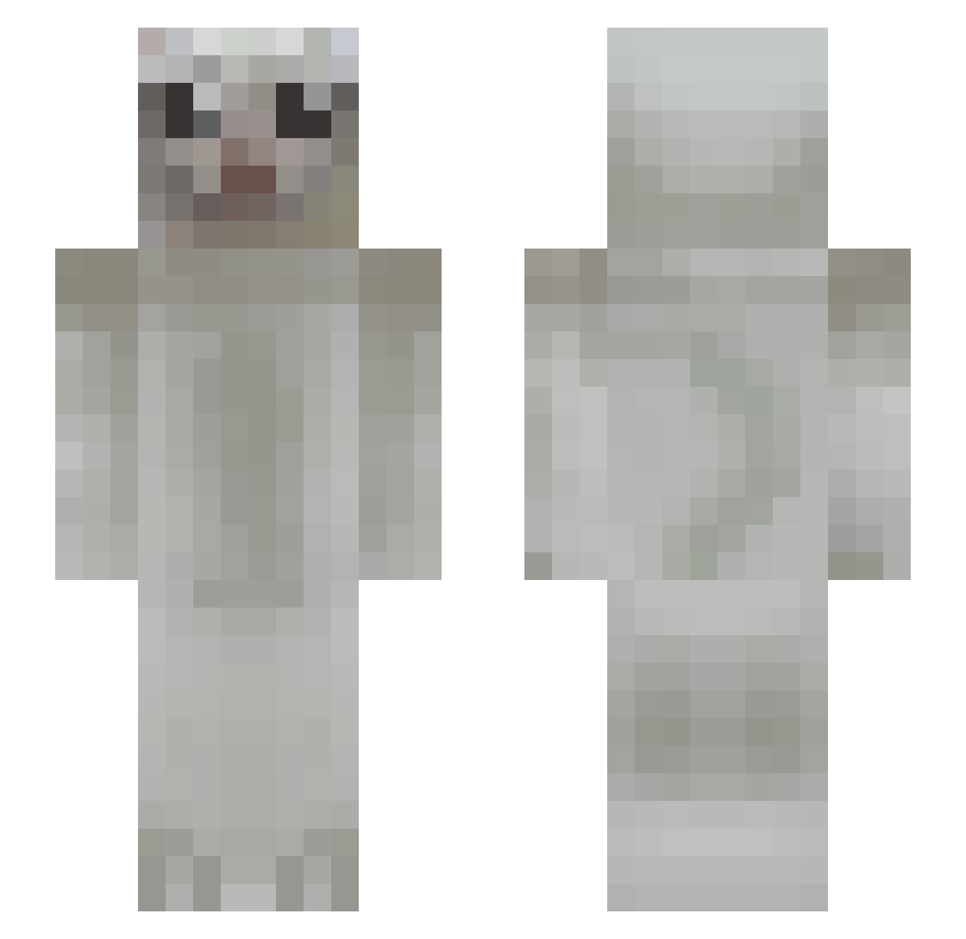 echoZorua Minecraft skin, front and back view