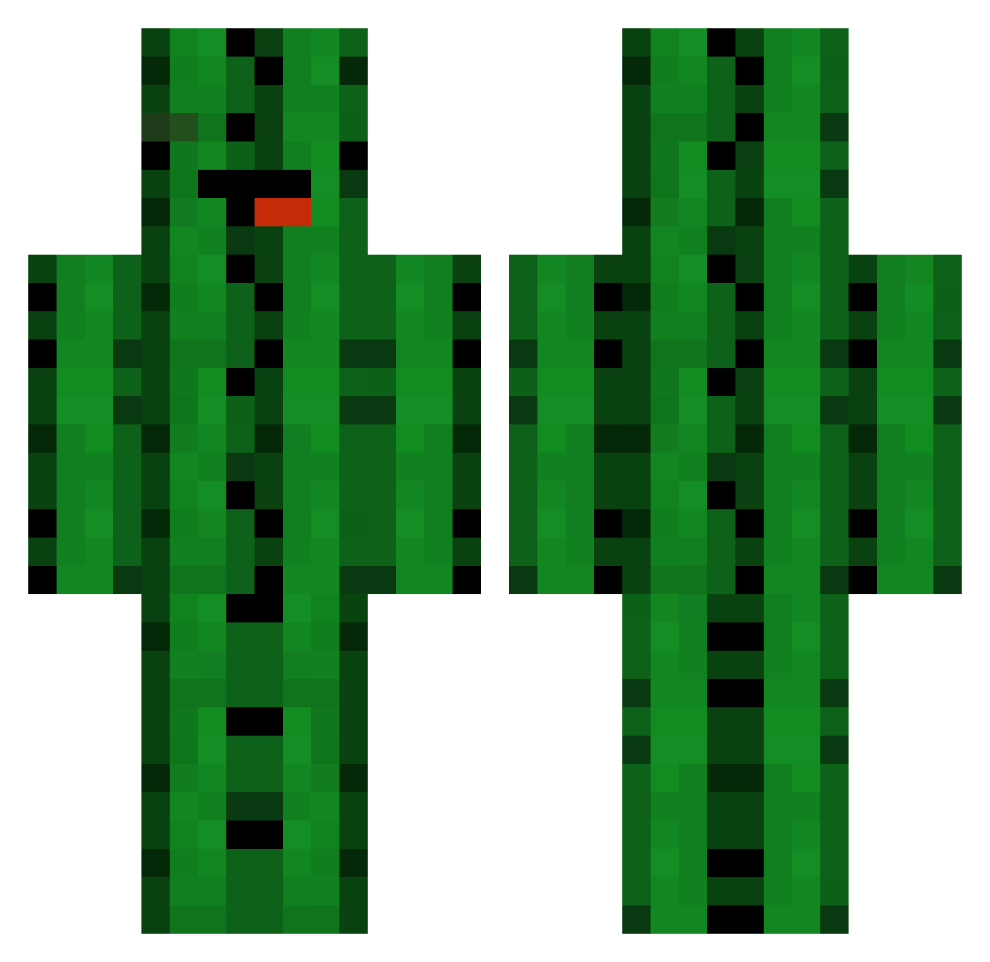 ACactusInMyRoom Minecraft skin, front and back view