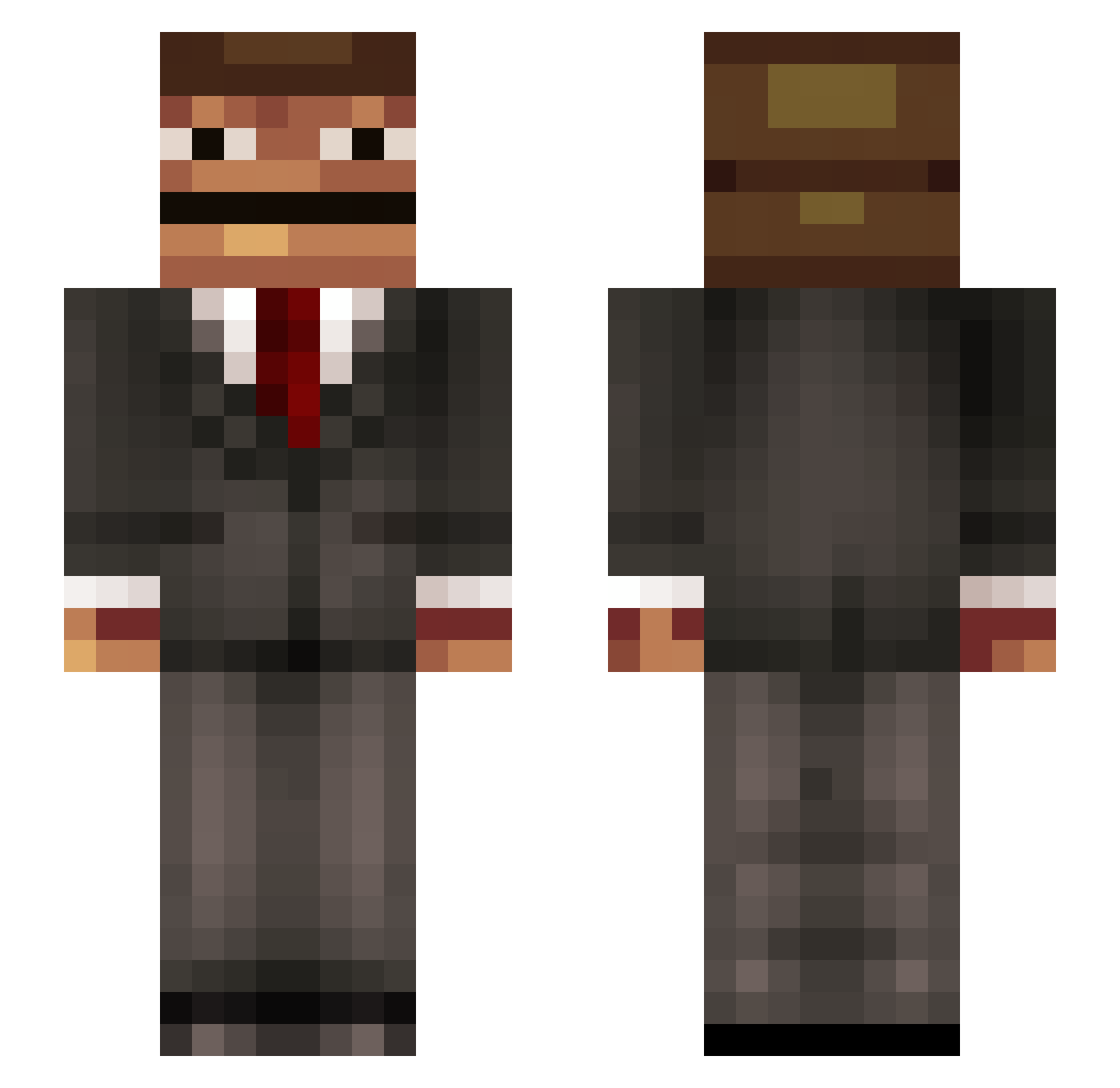 Tygarbyte Minecraft skin, front and back view