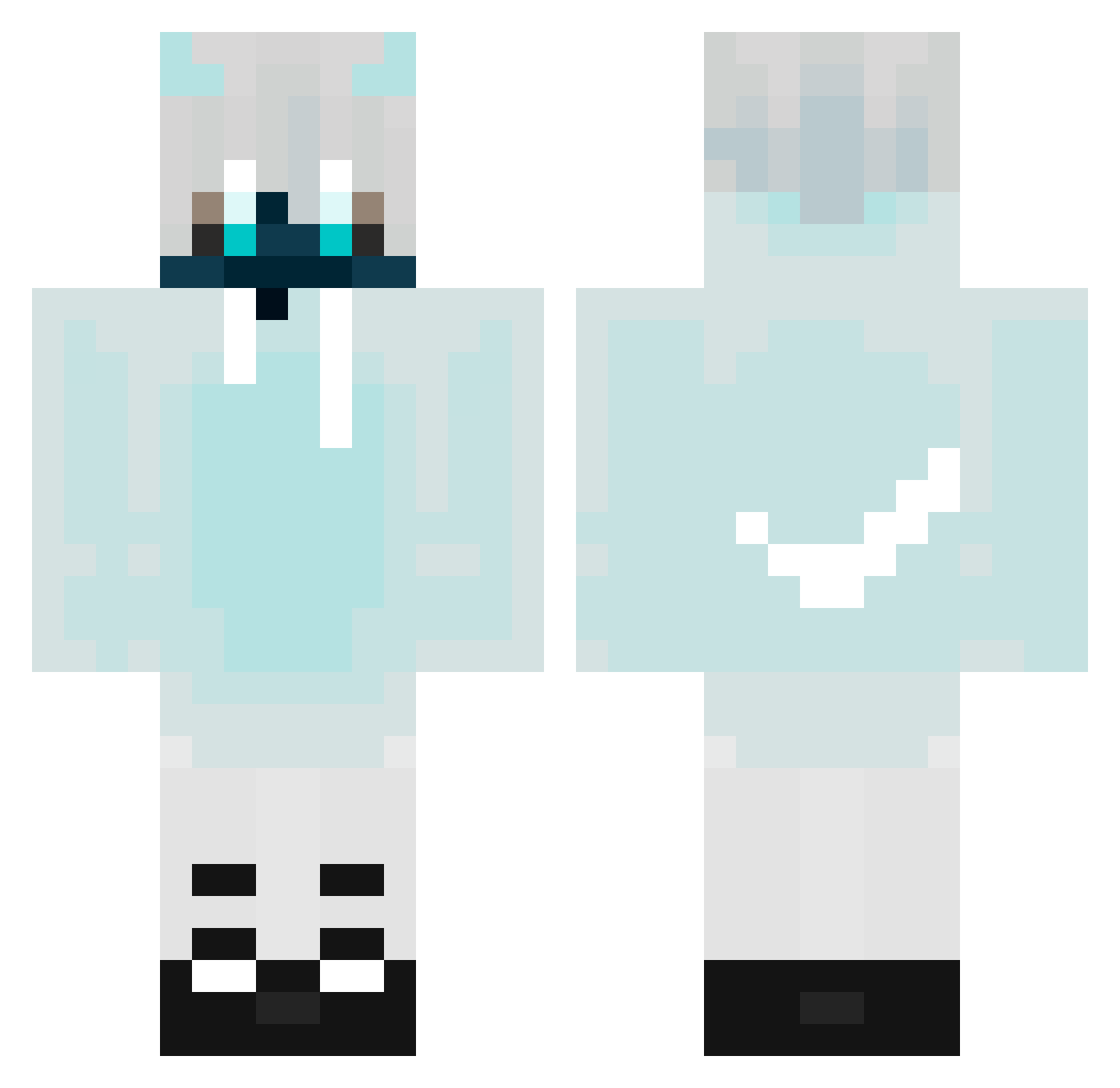 User_Jan Minecraft skin, front and back view