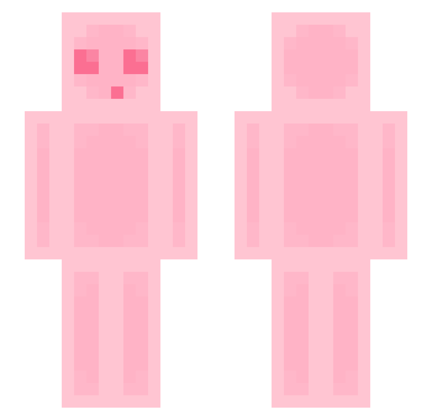 S_Meetan_A Minecraft skin, front and back view