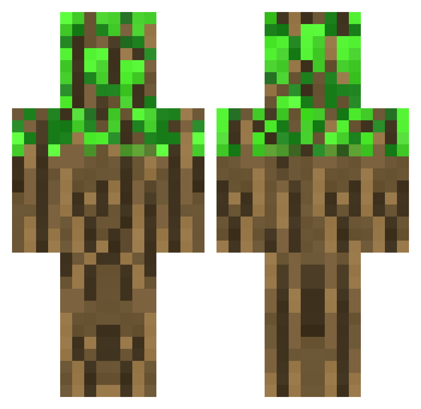 Shardz_S Minecraft skin, front and back view