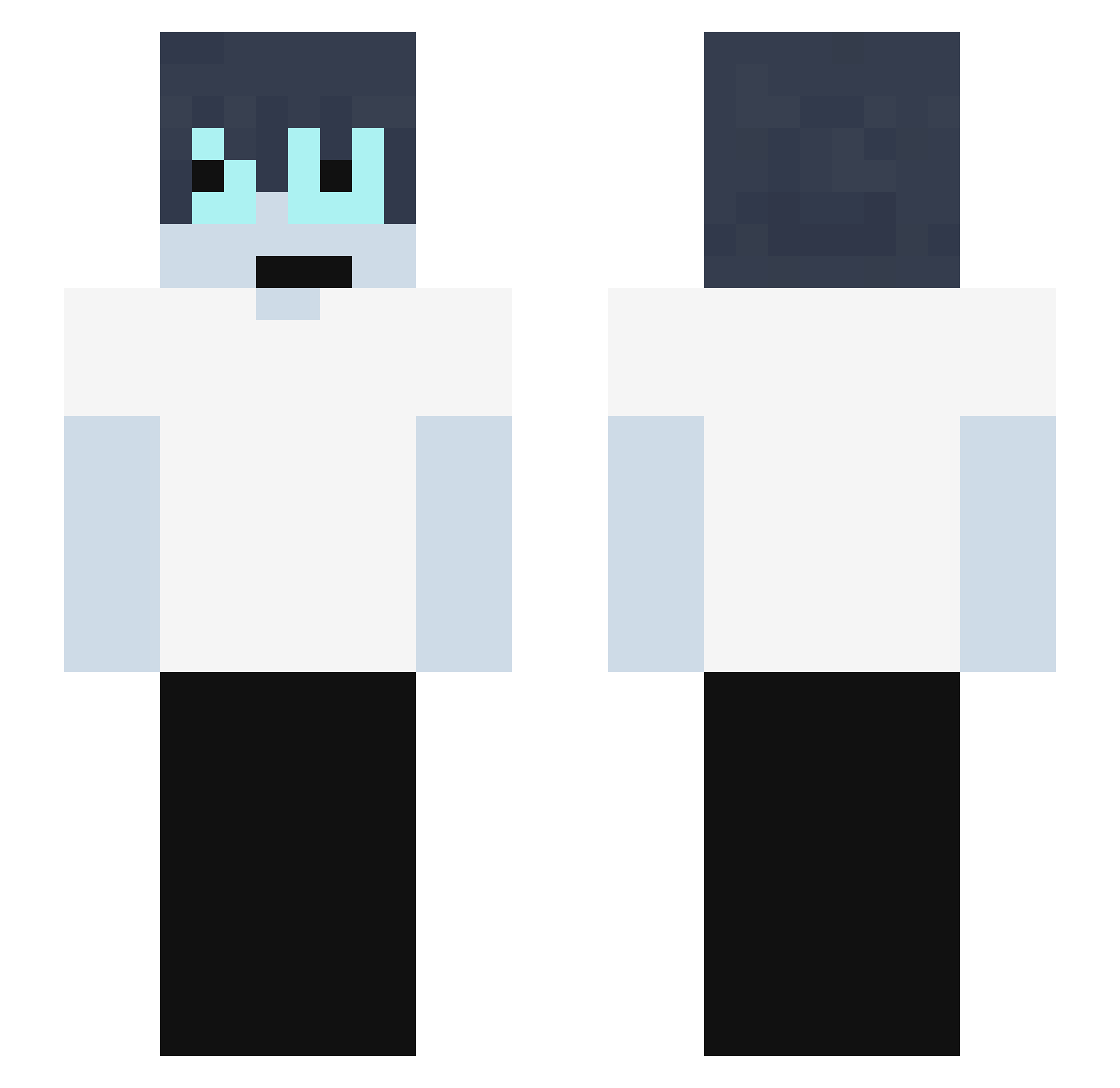 Unifi_d Minecraft skin, front and back view