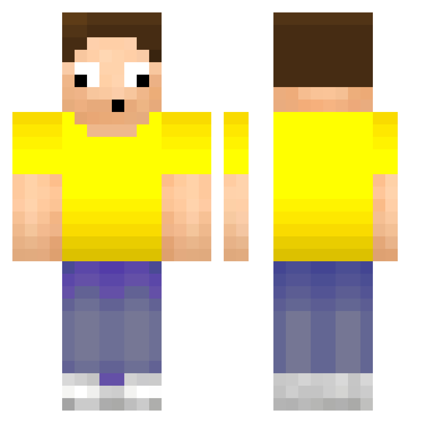 DW855 Minecraft skin, front and back view