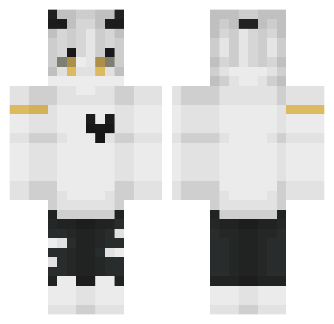 truassassin Minecraft skin, front and back view