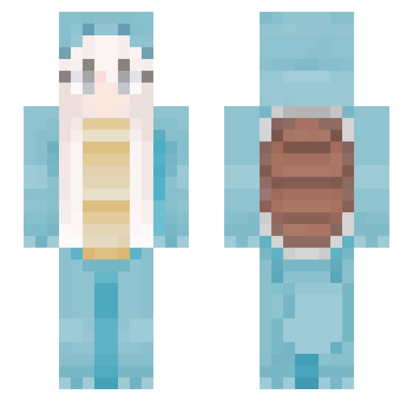 rawrmia Minecraft skin, front and back view