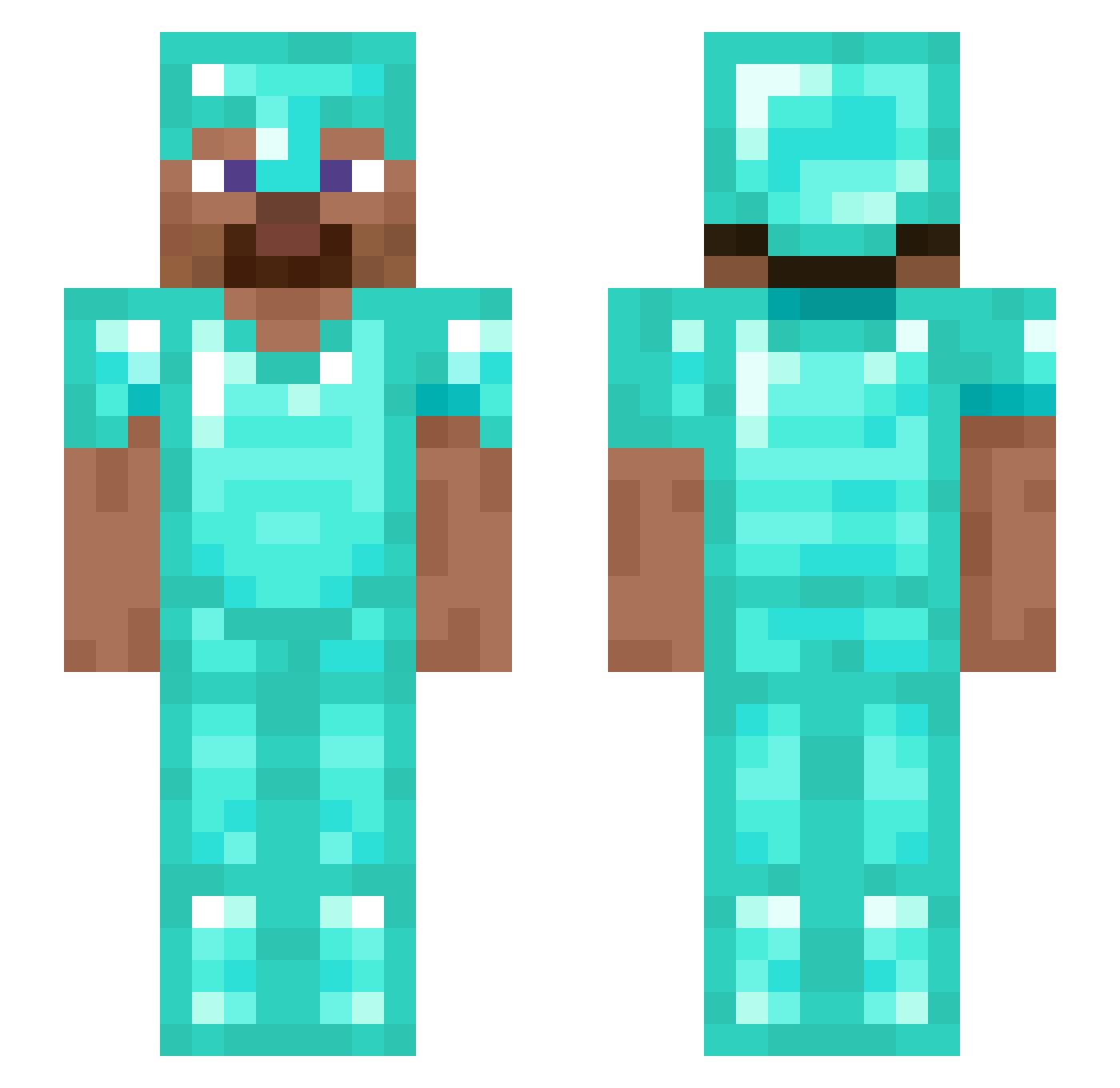 Ringowillycat Minecraft skin, front and back view
