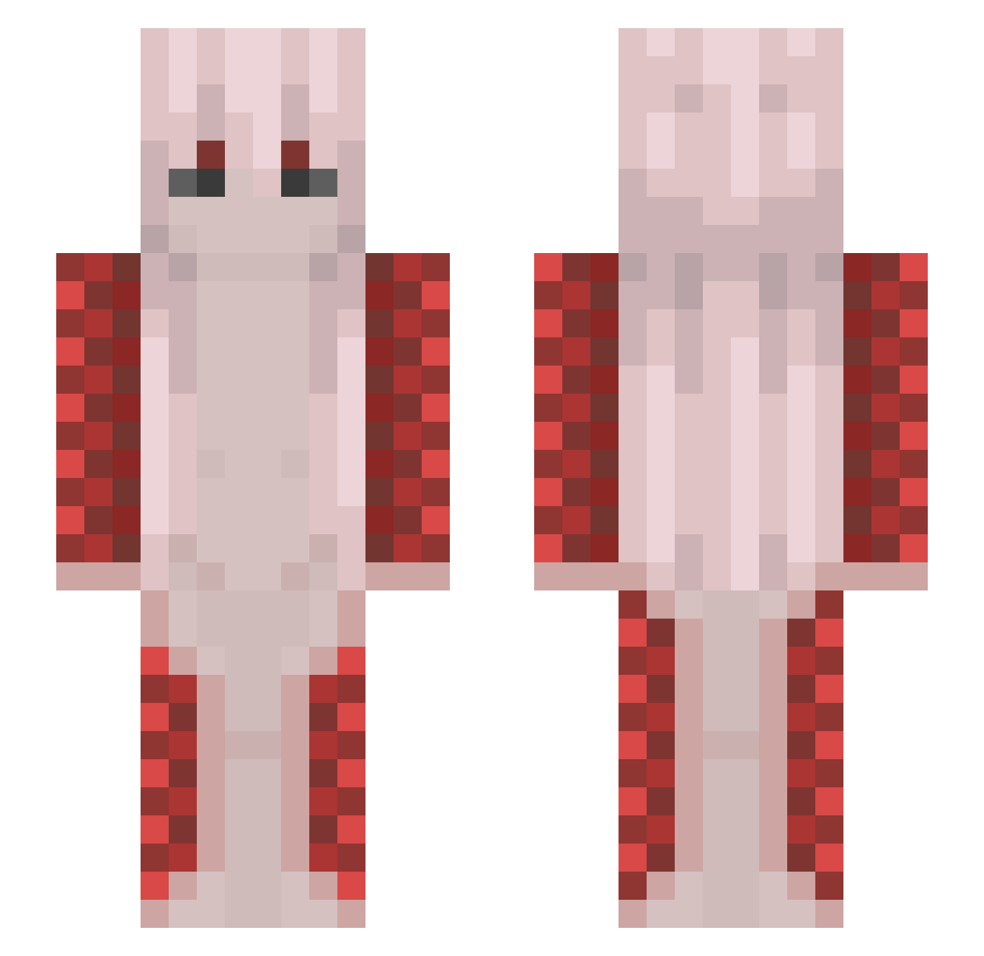 Salmon_god84 Minecraft skin, front and back view