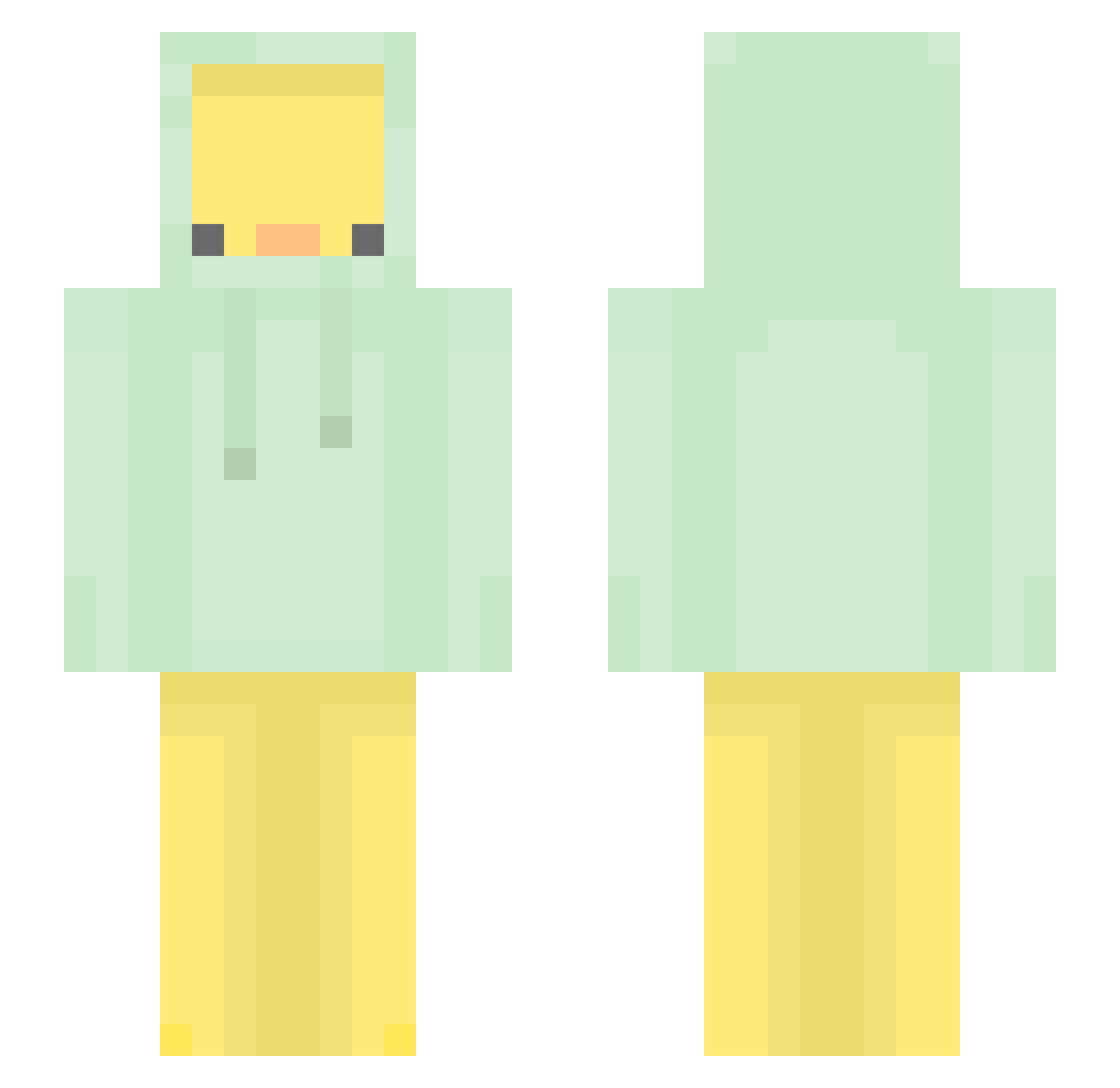 NettLM Minecraft skin, front and back view