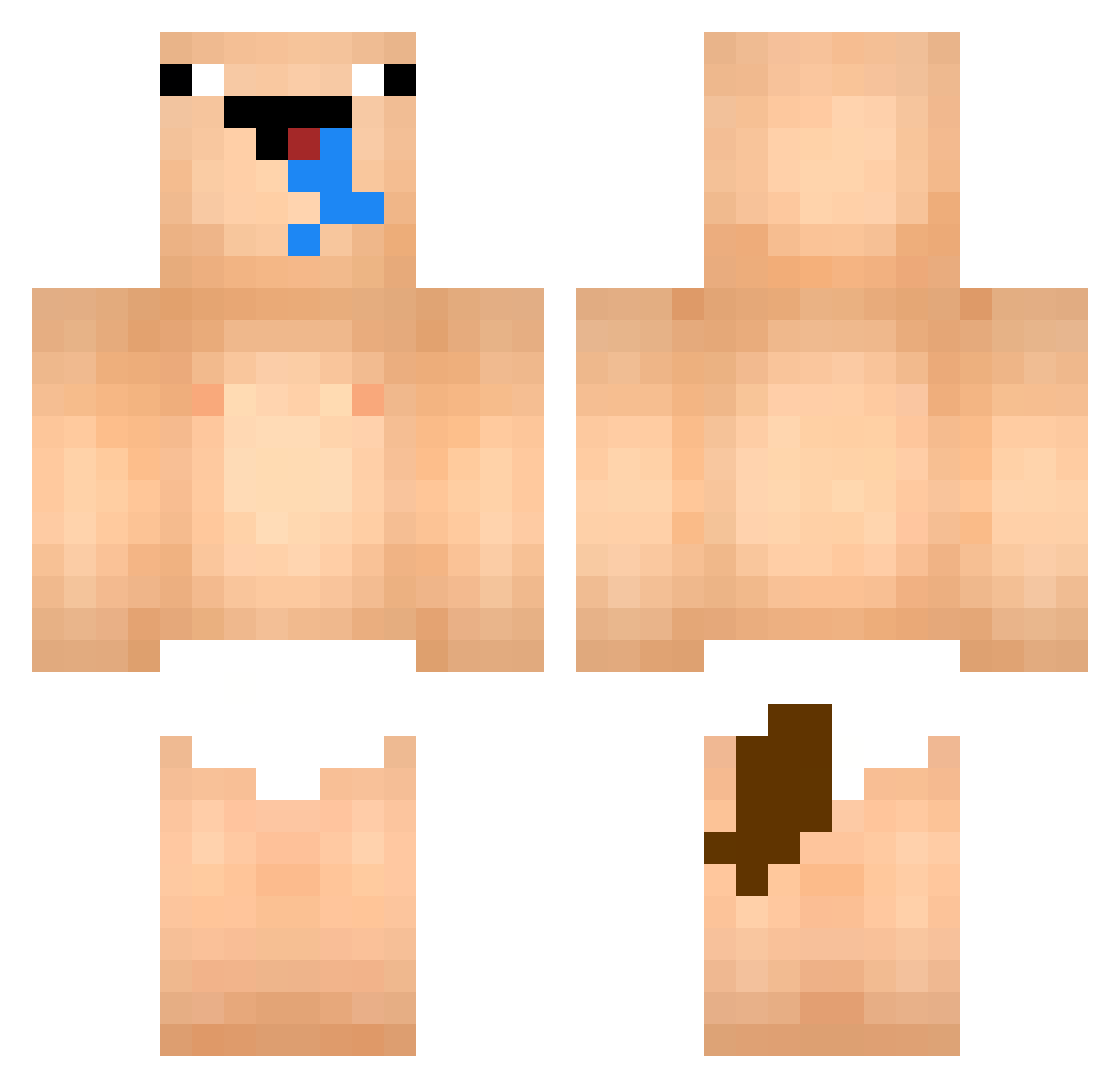 Tas0s12 Minecraft skin, front and back view