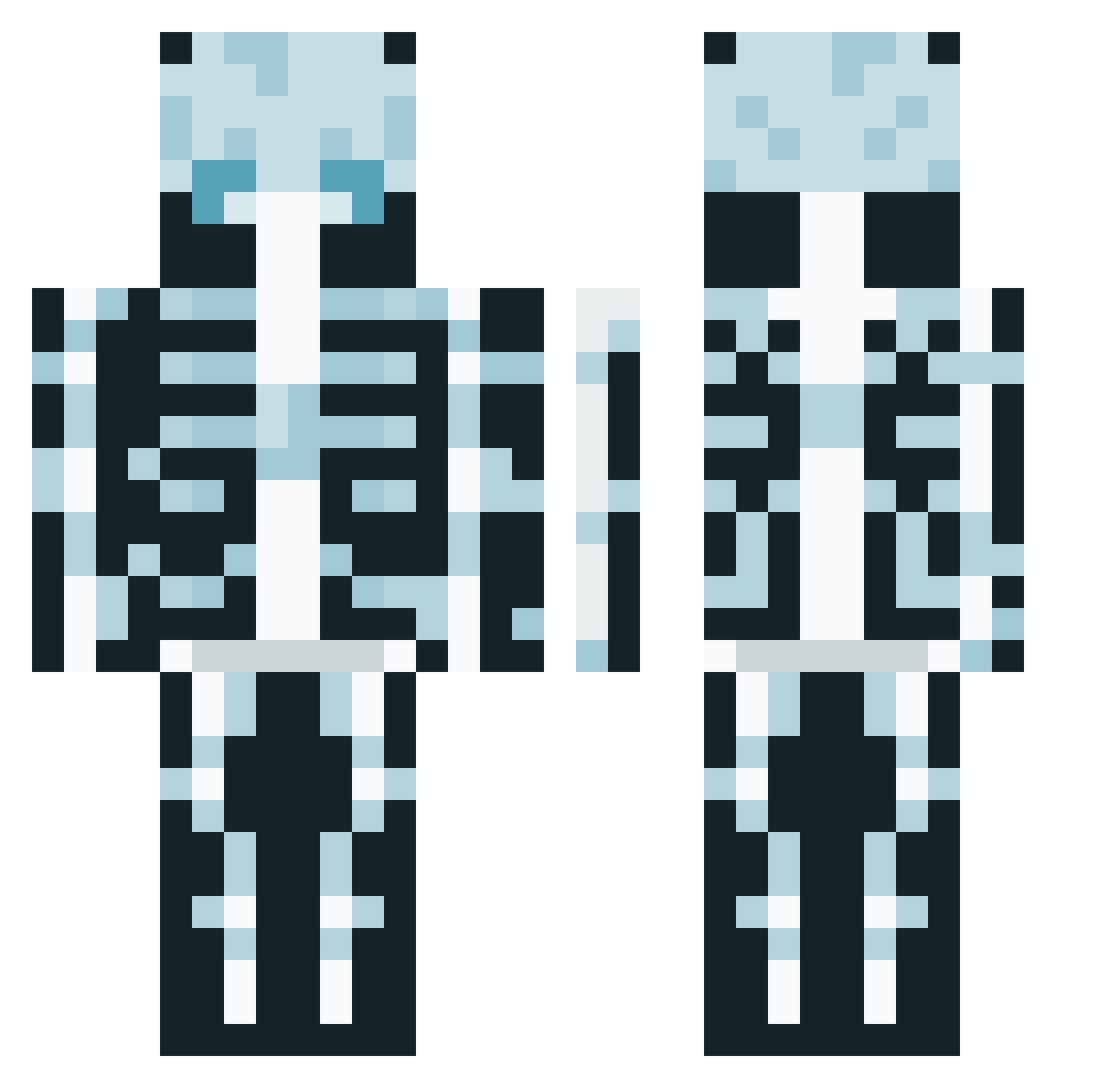Coconut381 Minecraft skin, front and back view