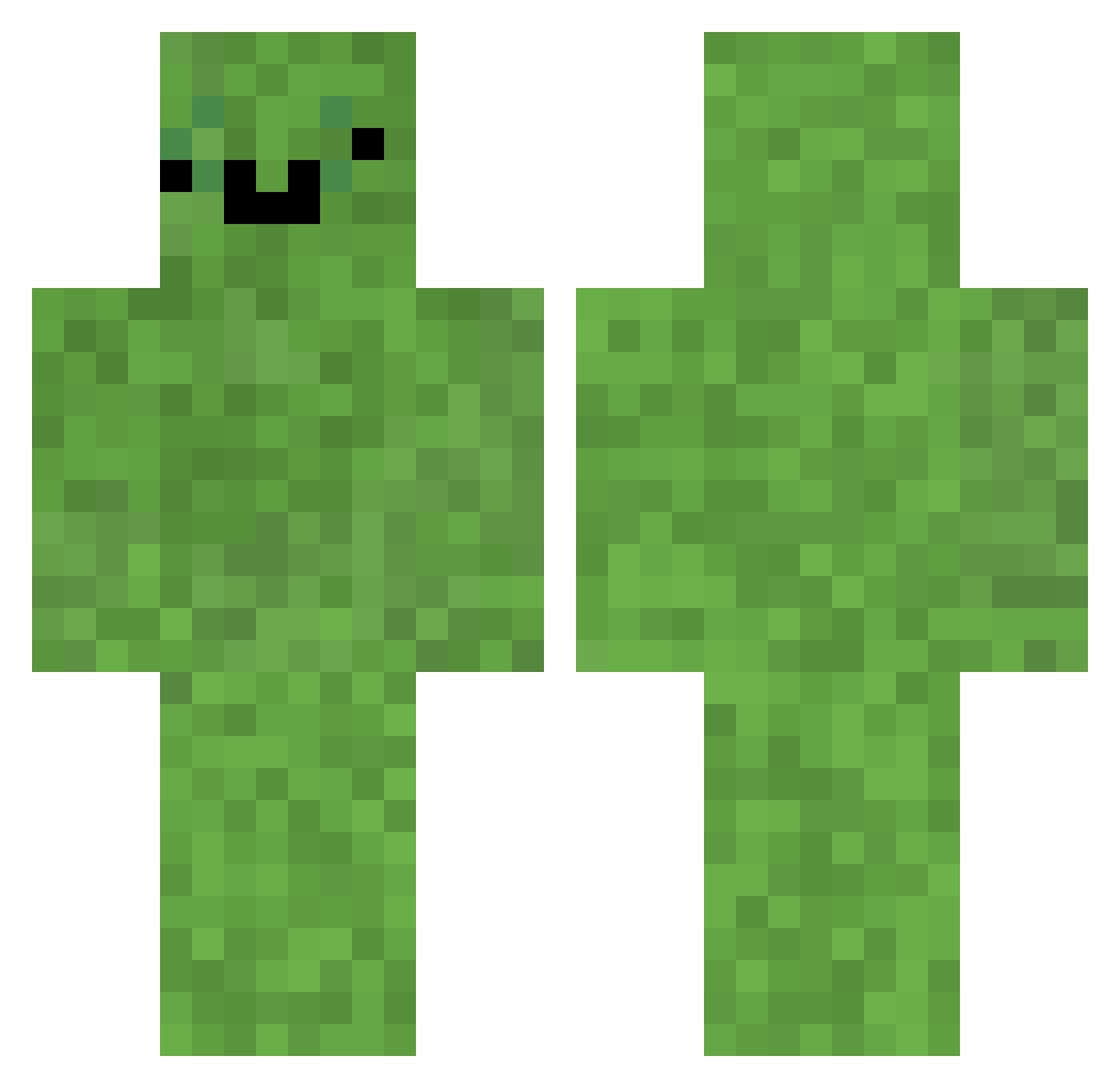 Finz09123 Minecraft skin, front and back view
