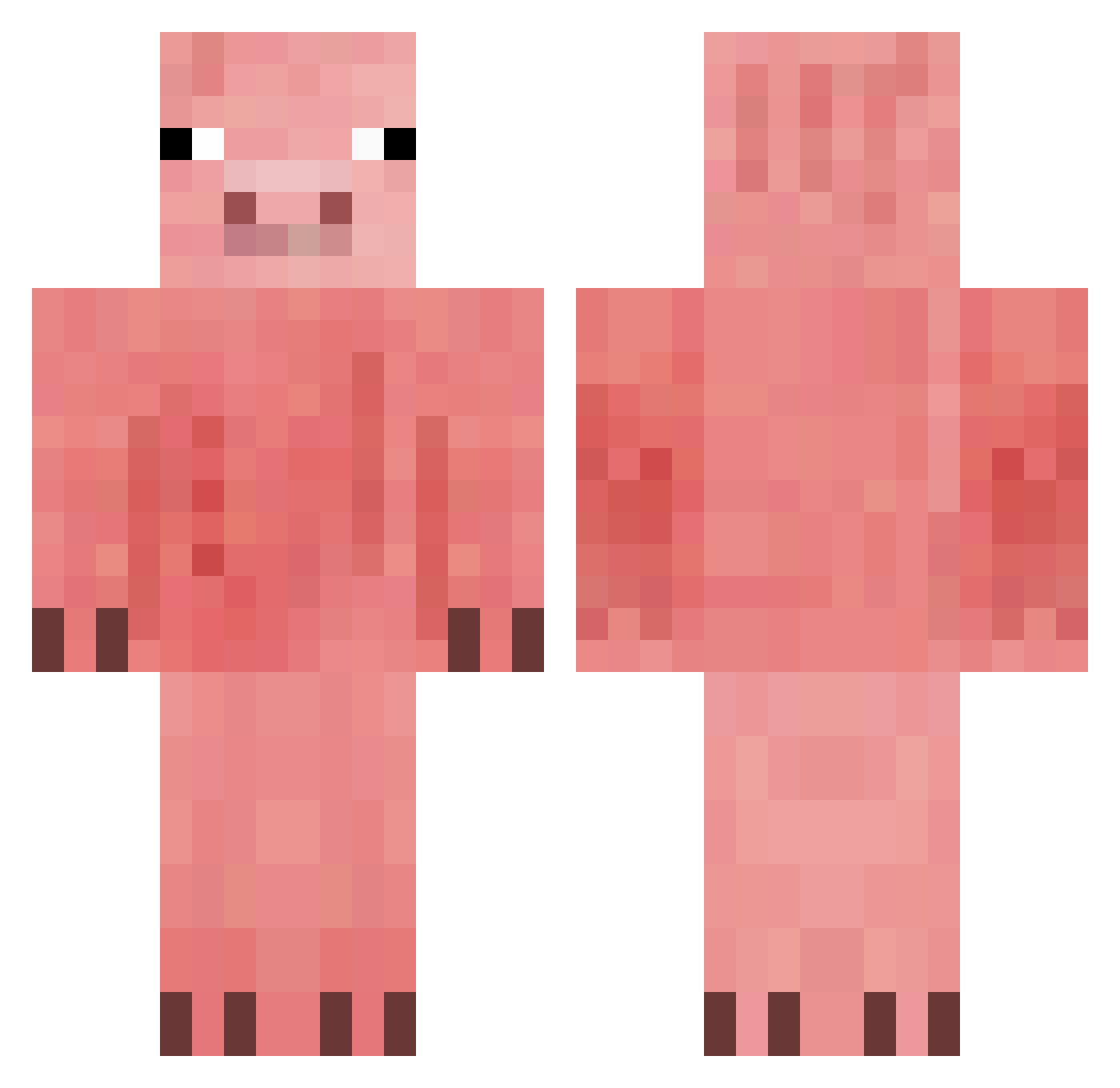 SEBPvP_YT_TWITCH Minecraft skin, front and back view