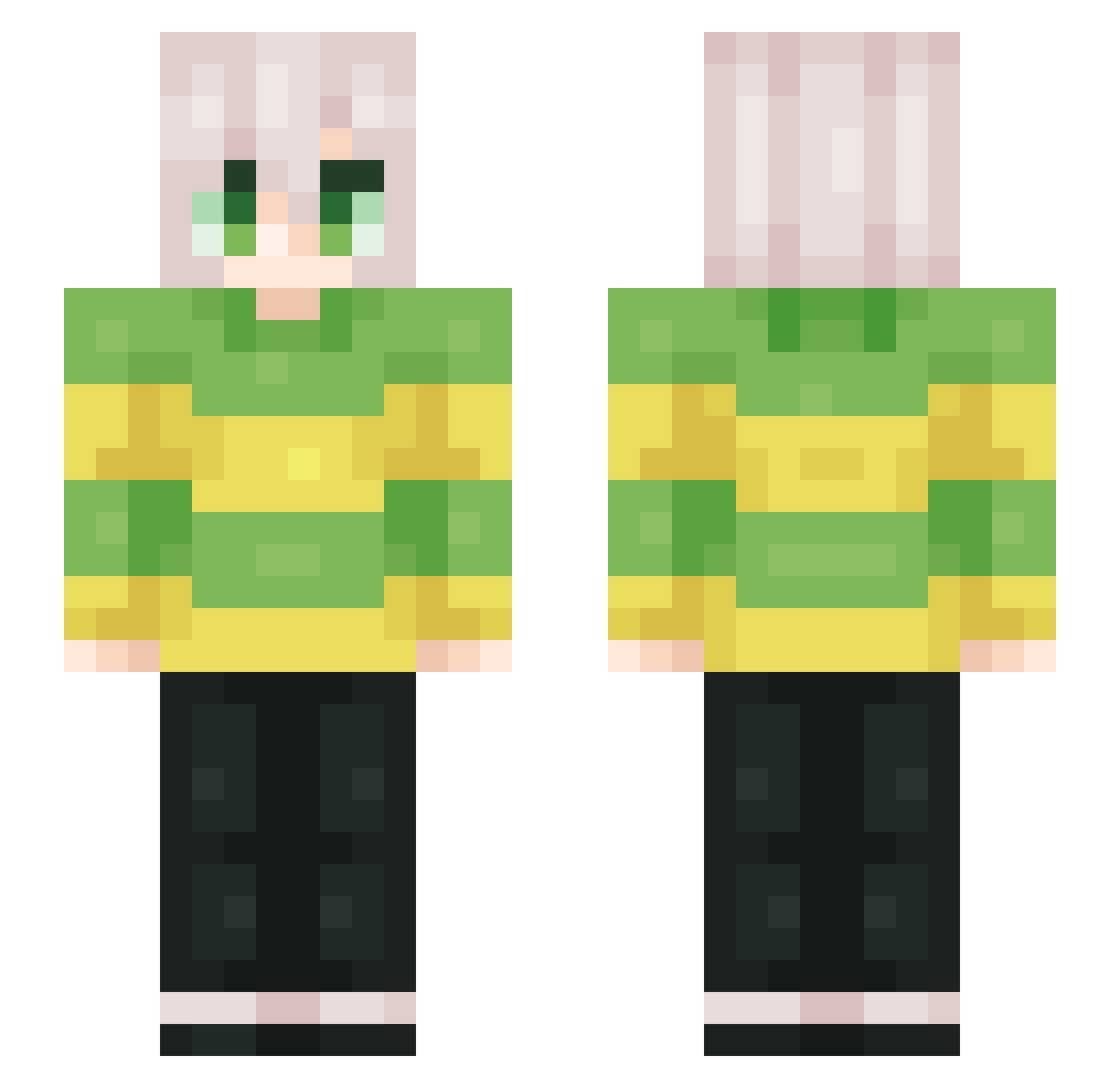 _DaniilDreemurr_ Minecraft skin, front and back view
