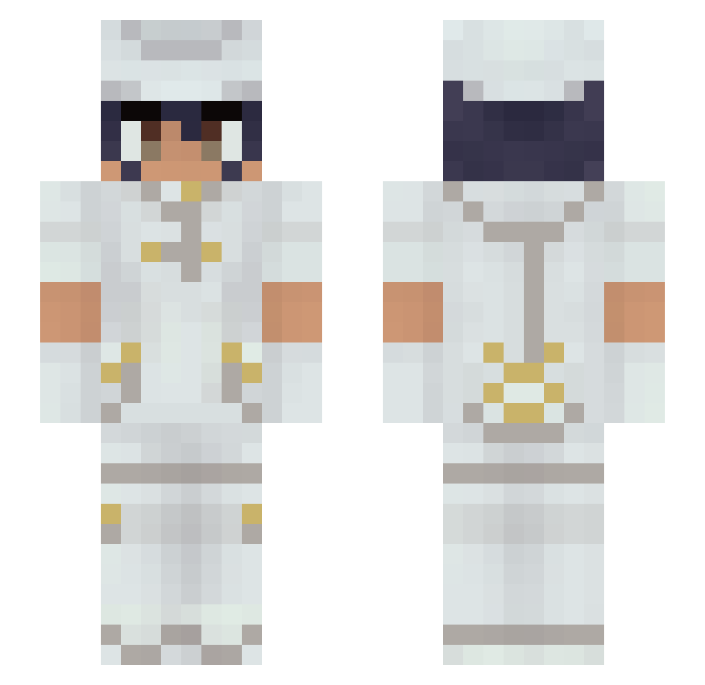 Senlcu - cells at work Minecraft skin