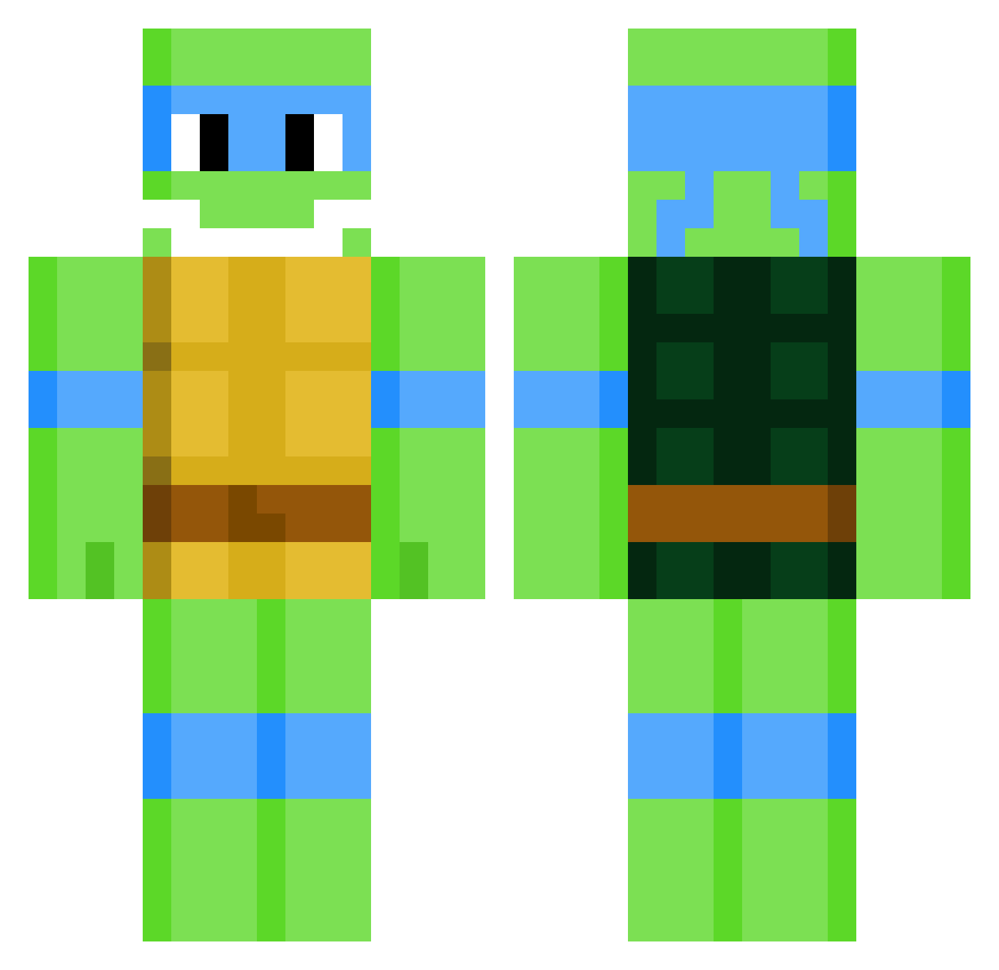 _Danks_Dude_ Minecraft skin, front and back view