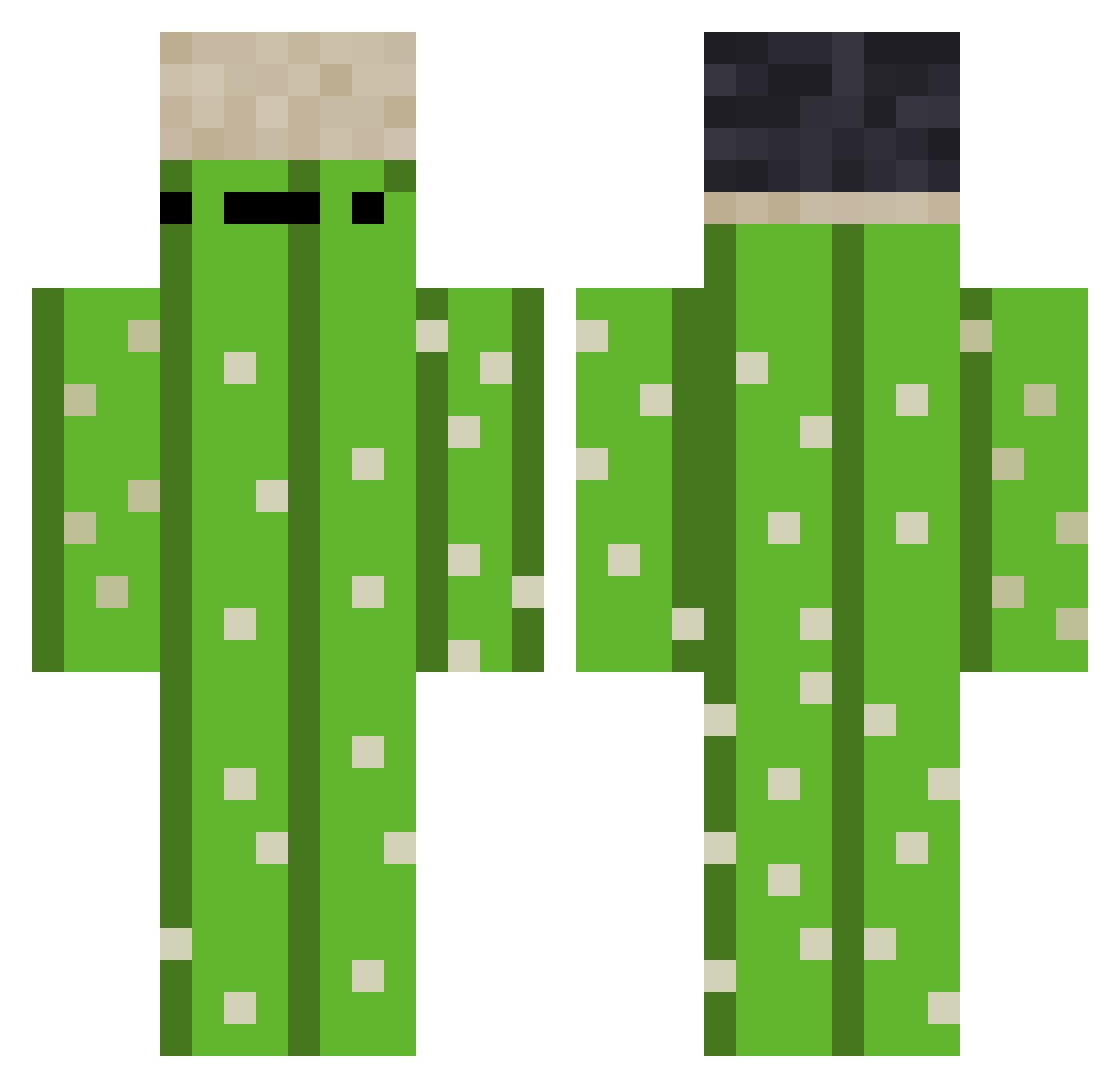 Pazdis Minecraft skin, front and back view