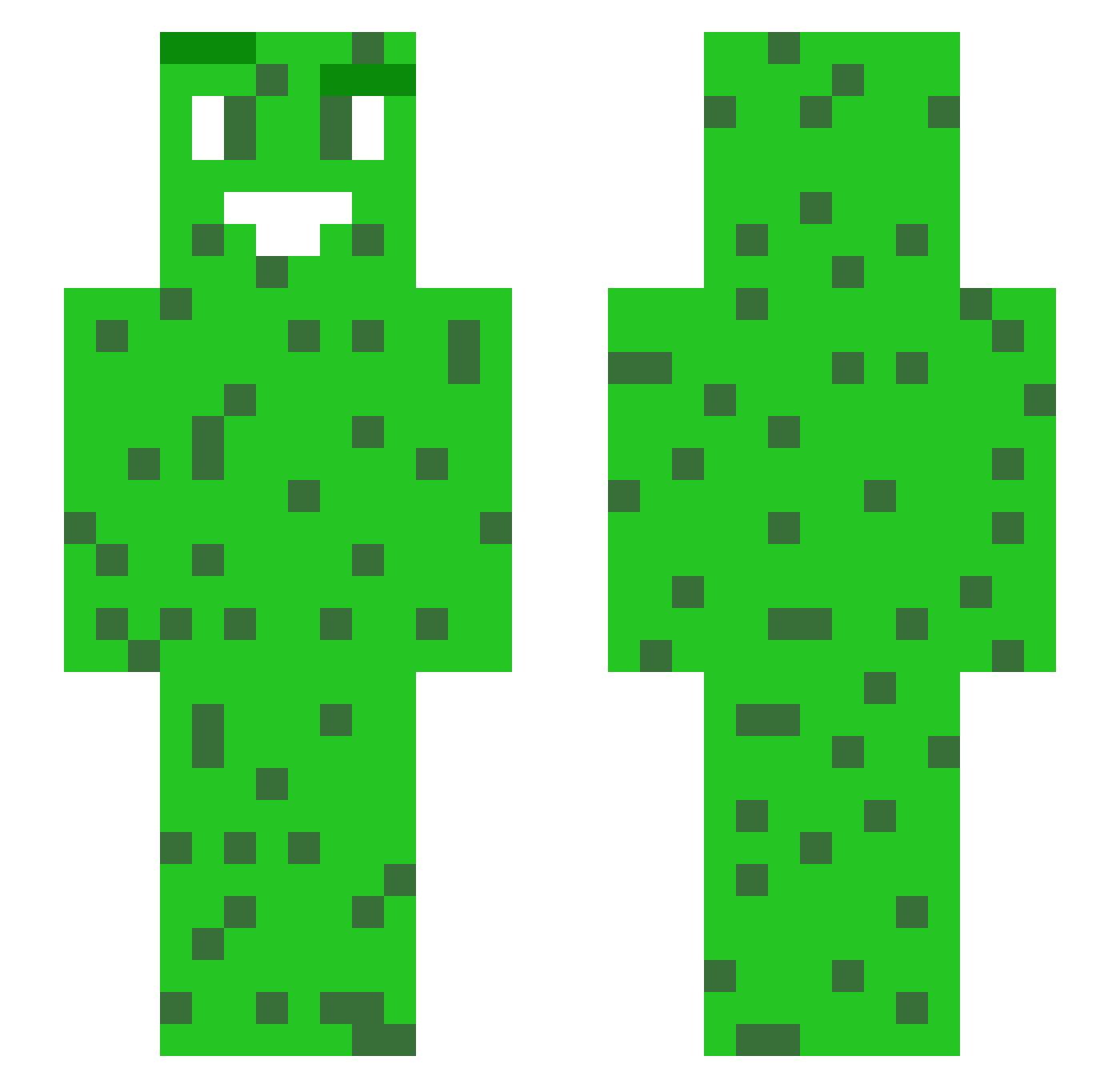 IceNinjas Minecraft skin, front and back view
