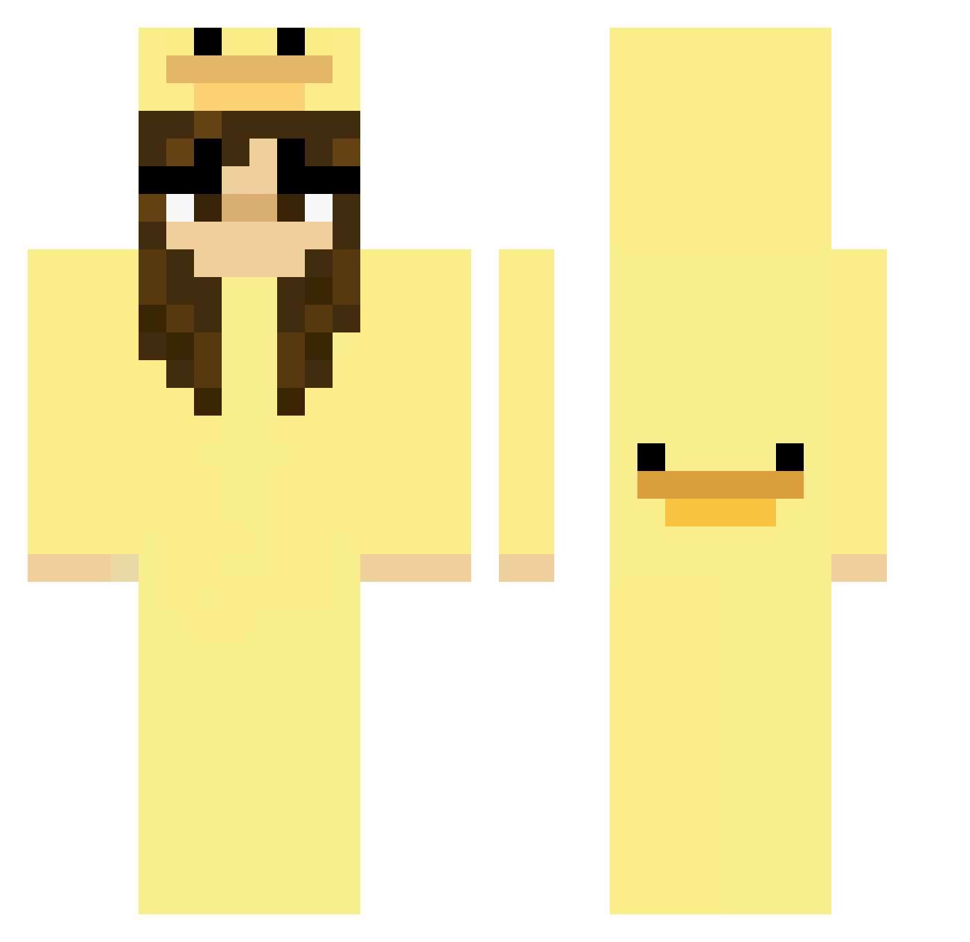 cookiemonsta107 Minecraft skin, front and back view