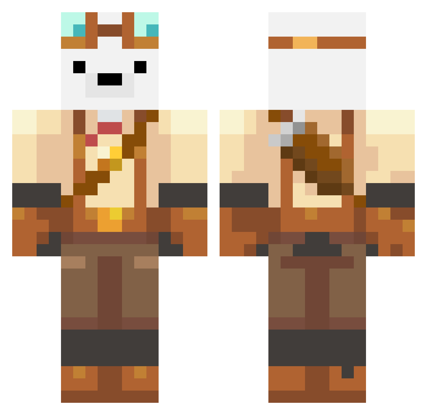 HM1005 Minecraft skin, front and back view