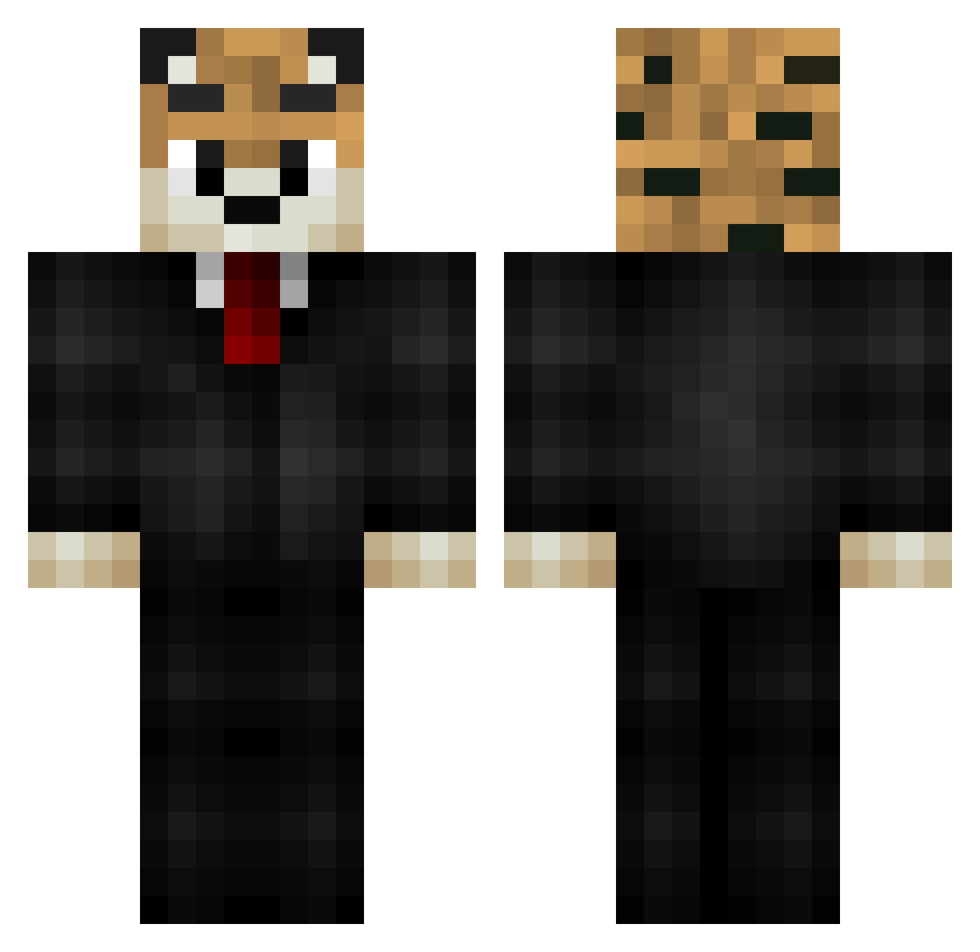 TimidTiger516 Minecraft skin, front and back view