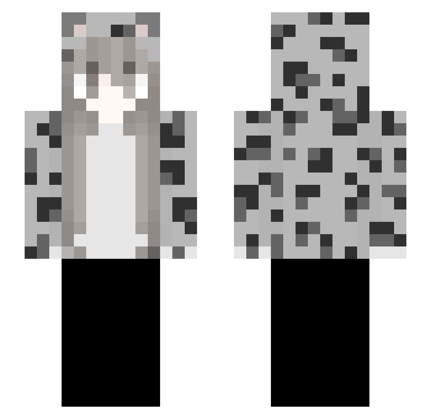 WARRIUR Minecraft skin, front and back view