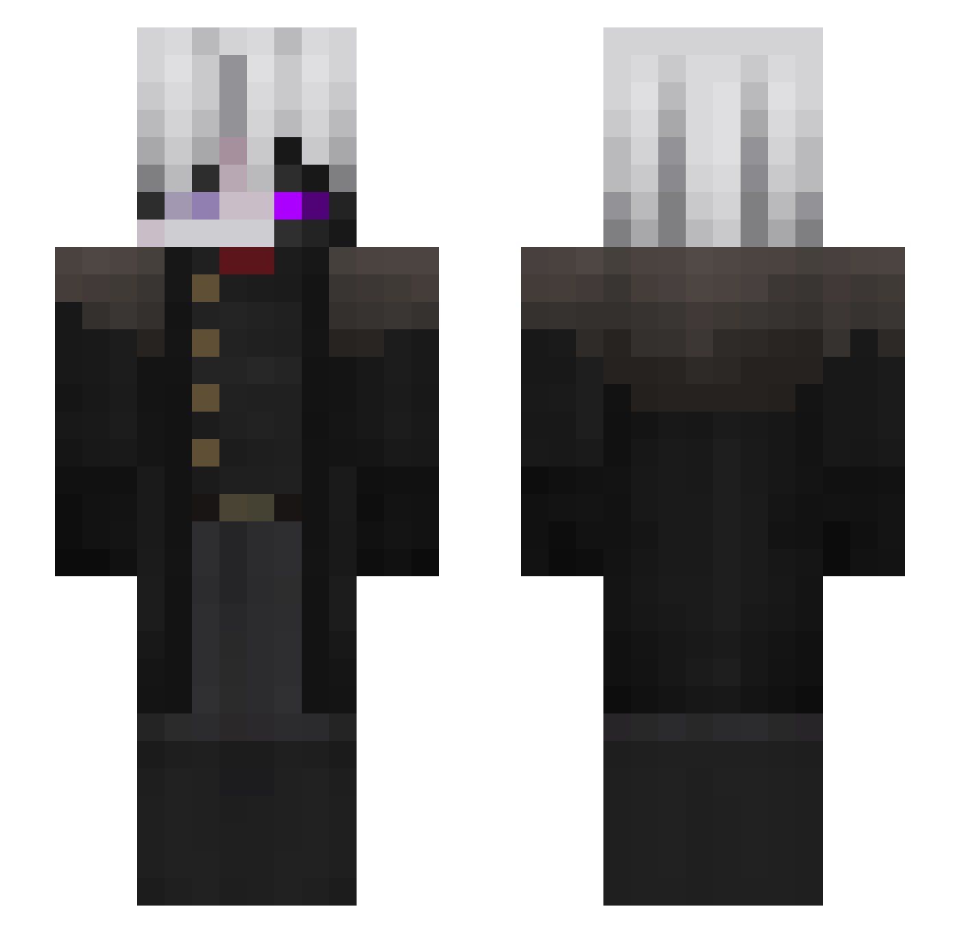 mr_WasserFlasahe Minecraft skin, front and back view