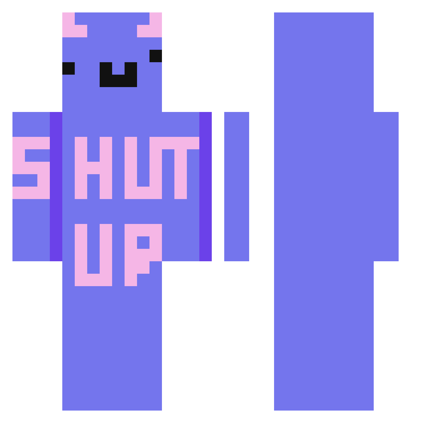 PuDenn Minecraft skin, front and back view