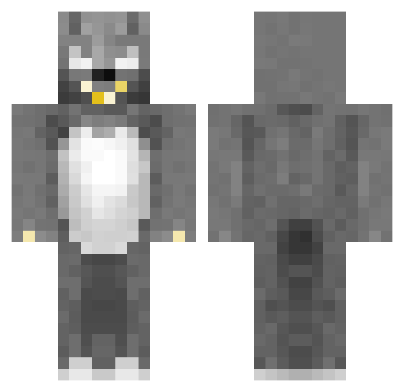cyloviz Minecraft skin, front and back view