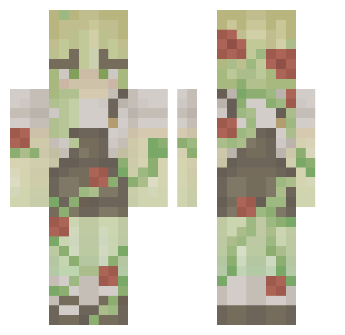 Salue Minecraft skin, front and back view