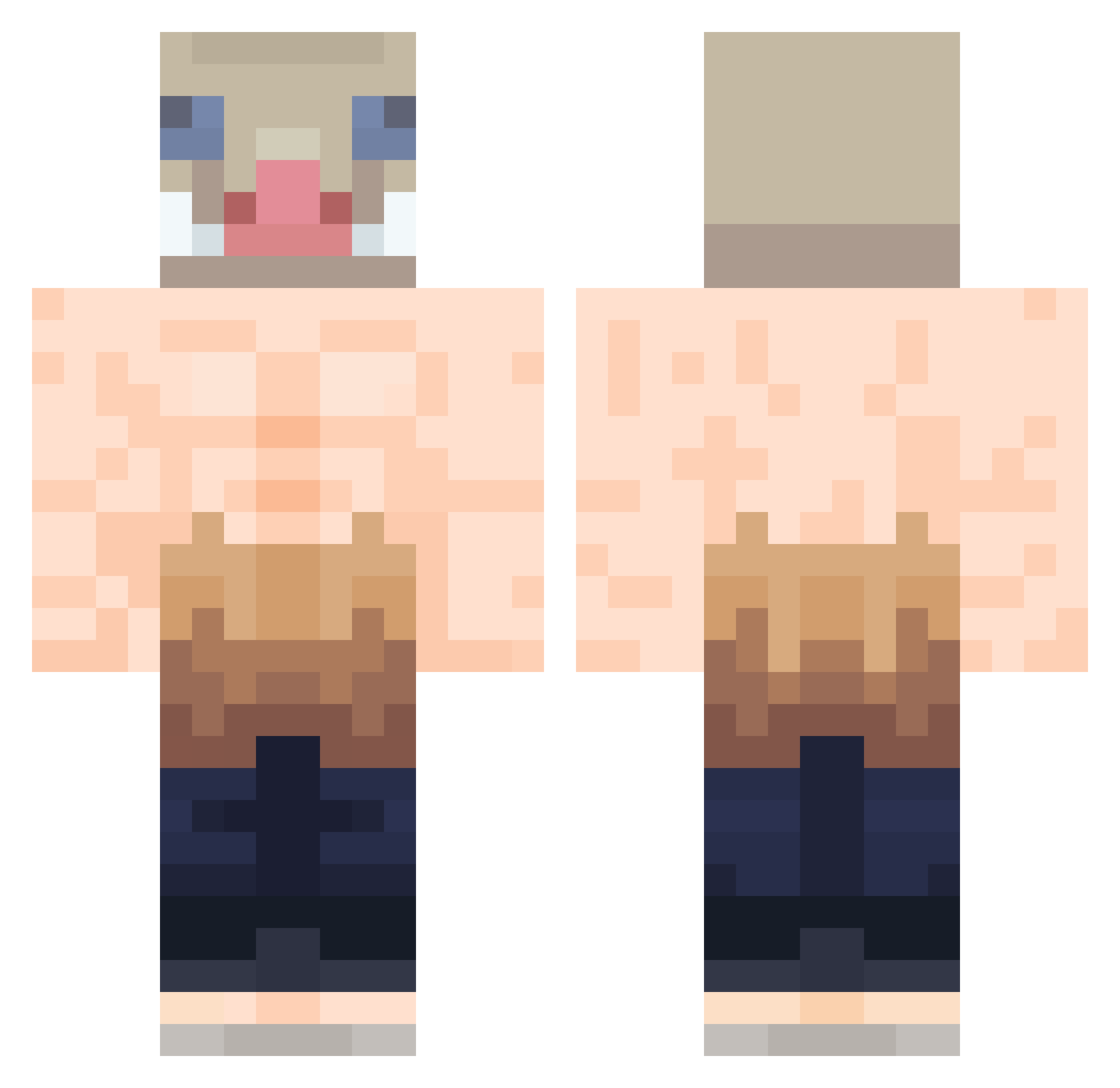 TrutheTypical Minecraft skin, front and back view