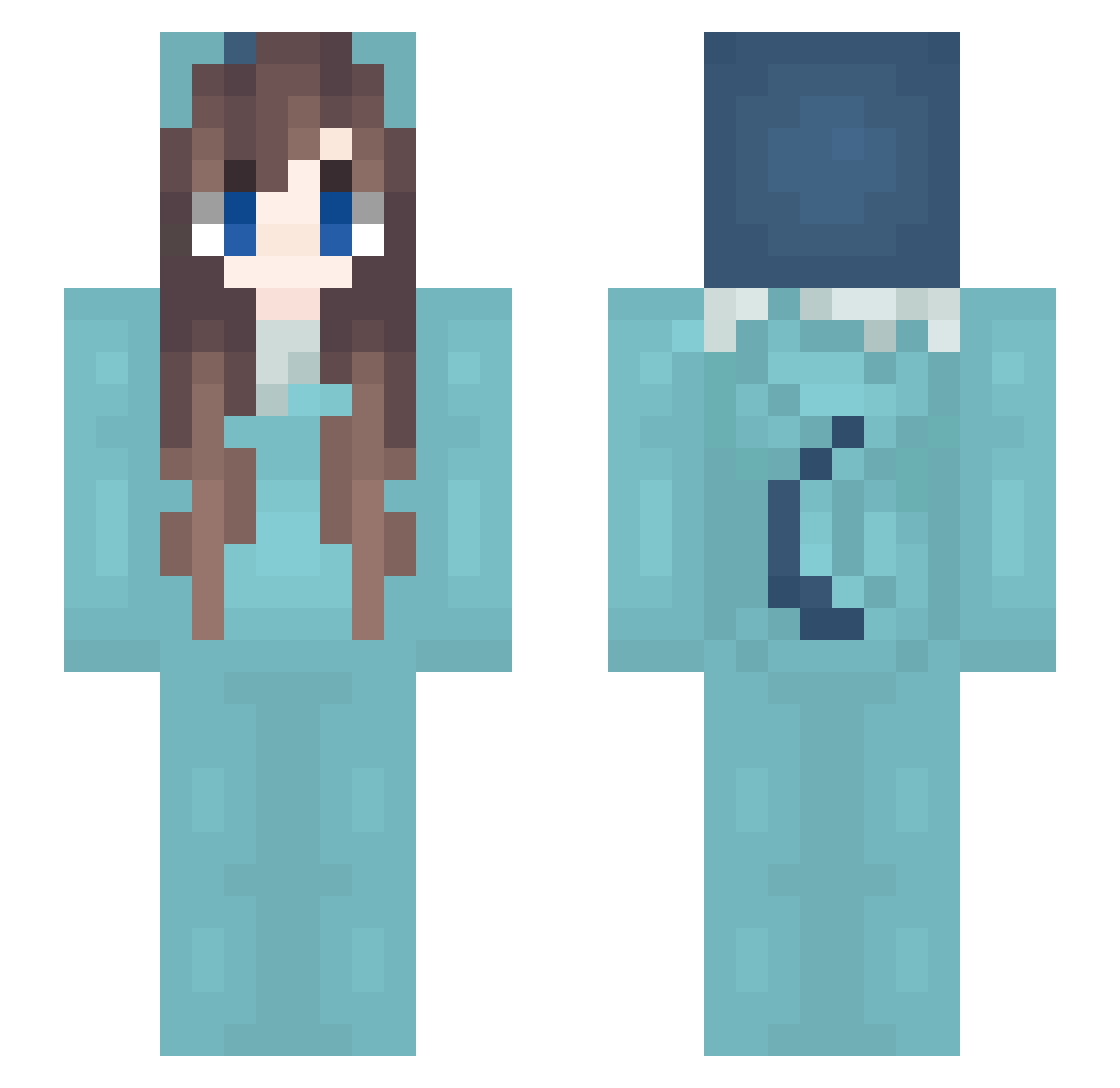 Introdous Minecraft skin, front and back view