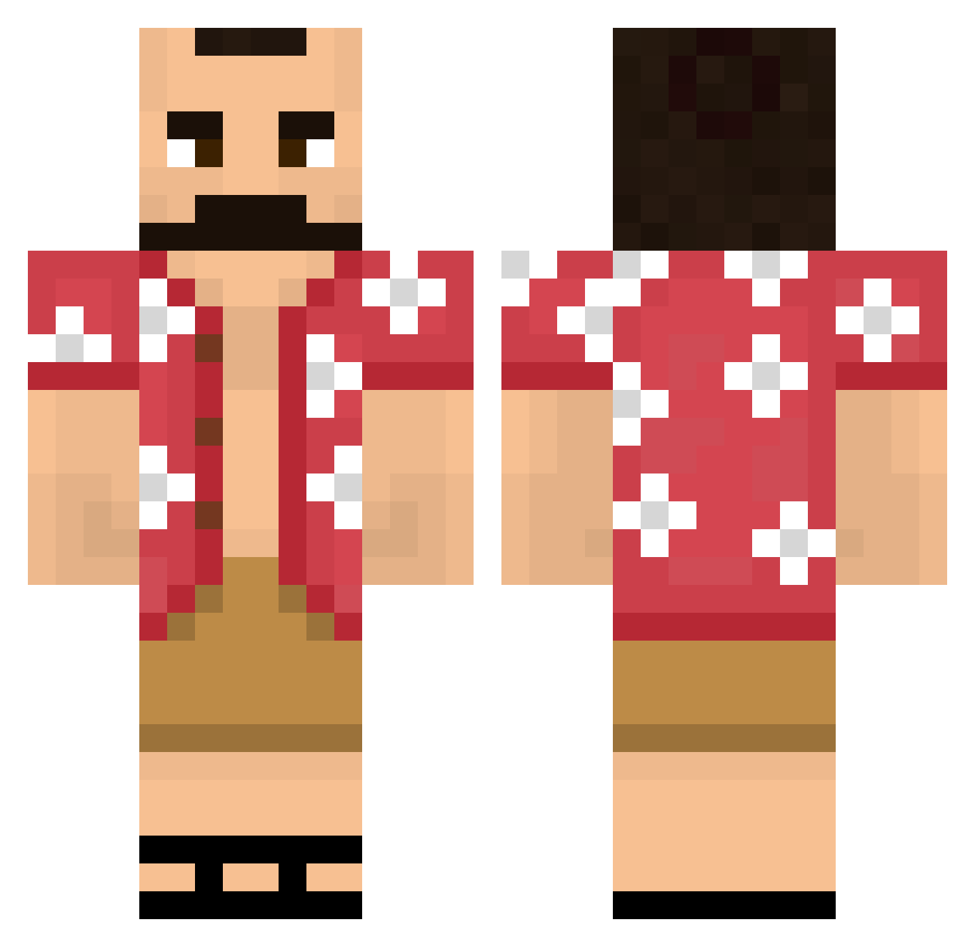 trainsrockpie Minecraft skin, front and back view
