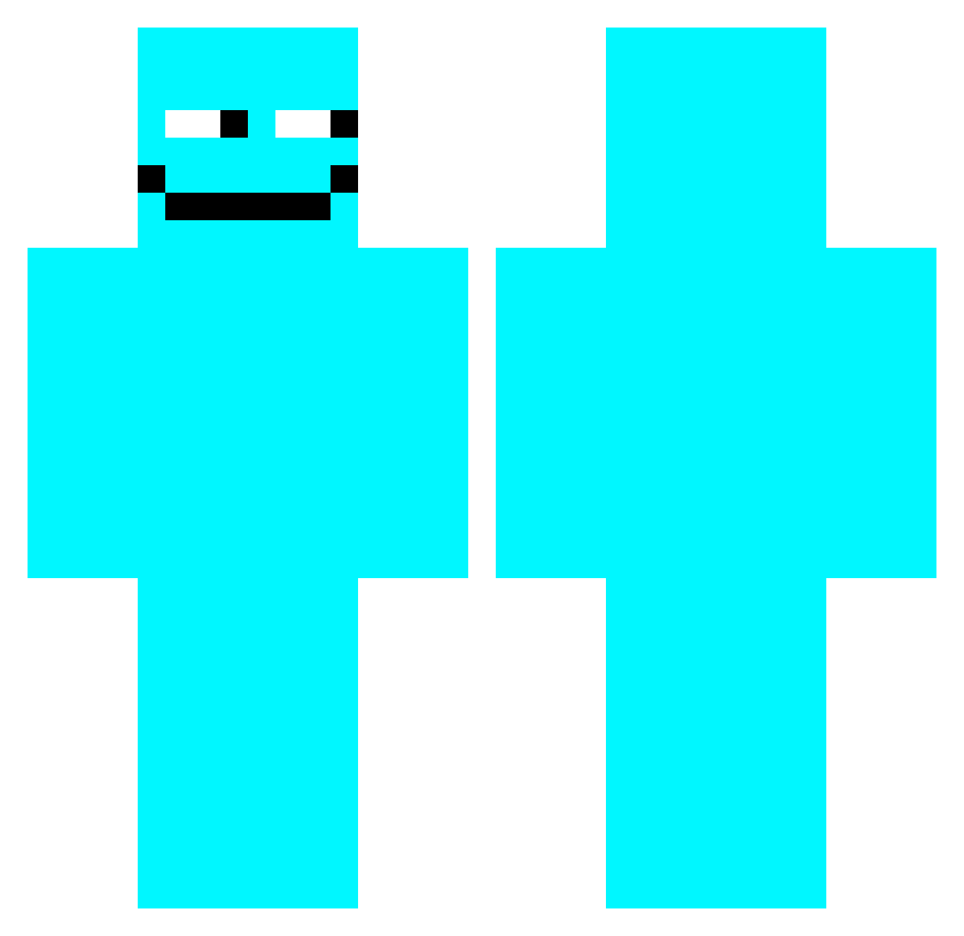 Wb27 Minecraft skin, front and back view