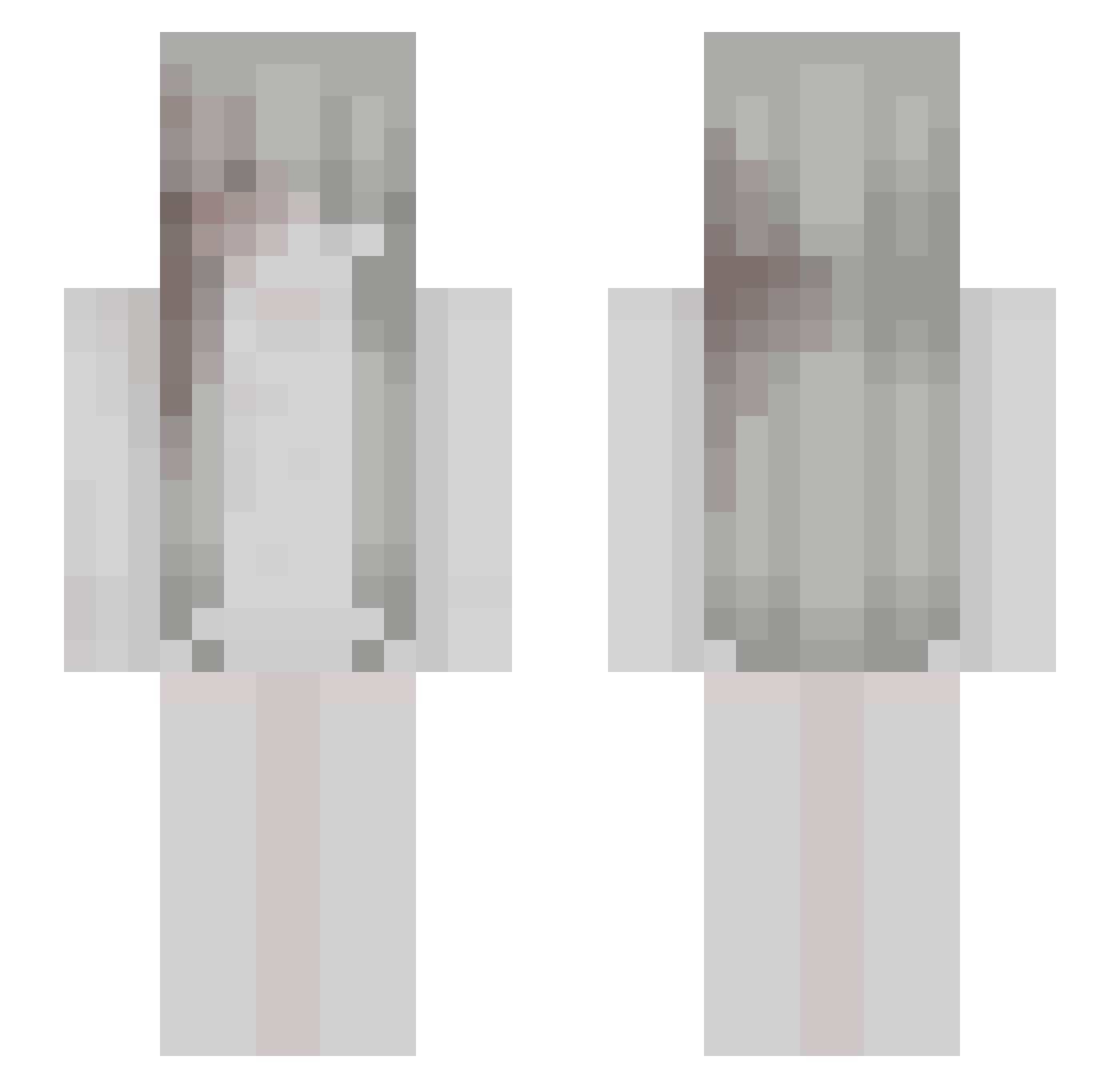 pclm Minecraft skin, front and back view