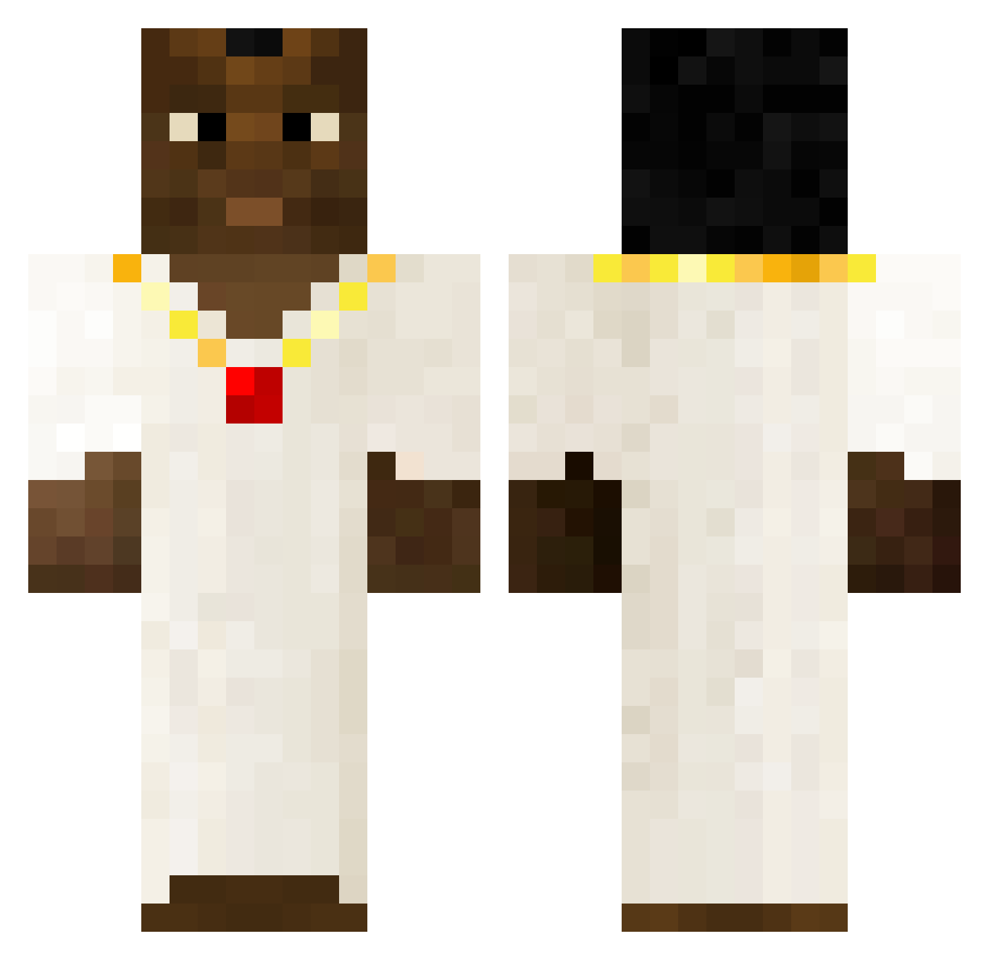 zigsters10 Minecraft skin, front and back view