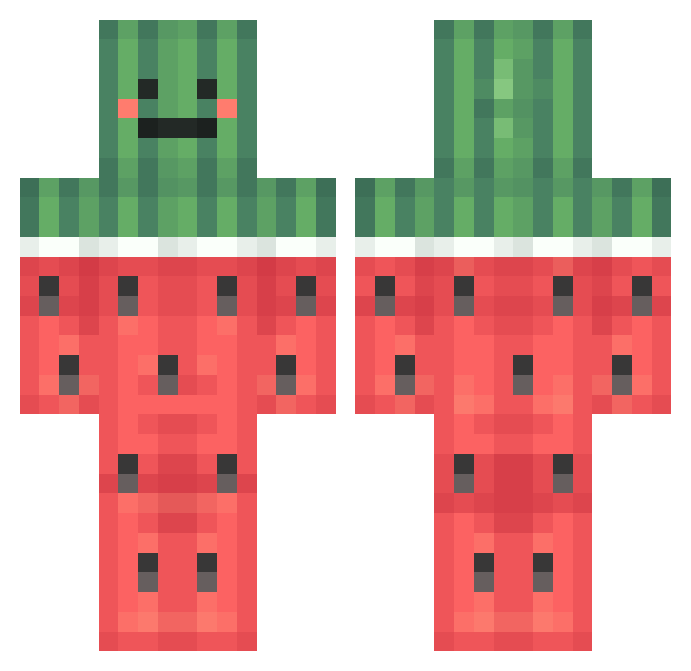 VansRun Minecraft skin, front and back view