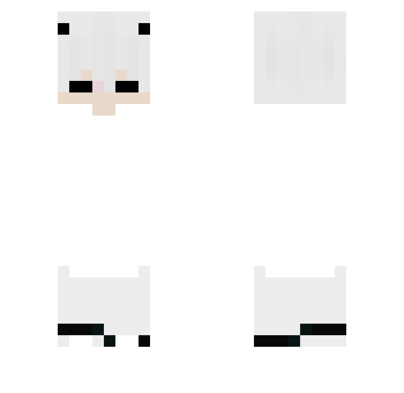 sses451 Minecraft skin, front and back view