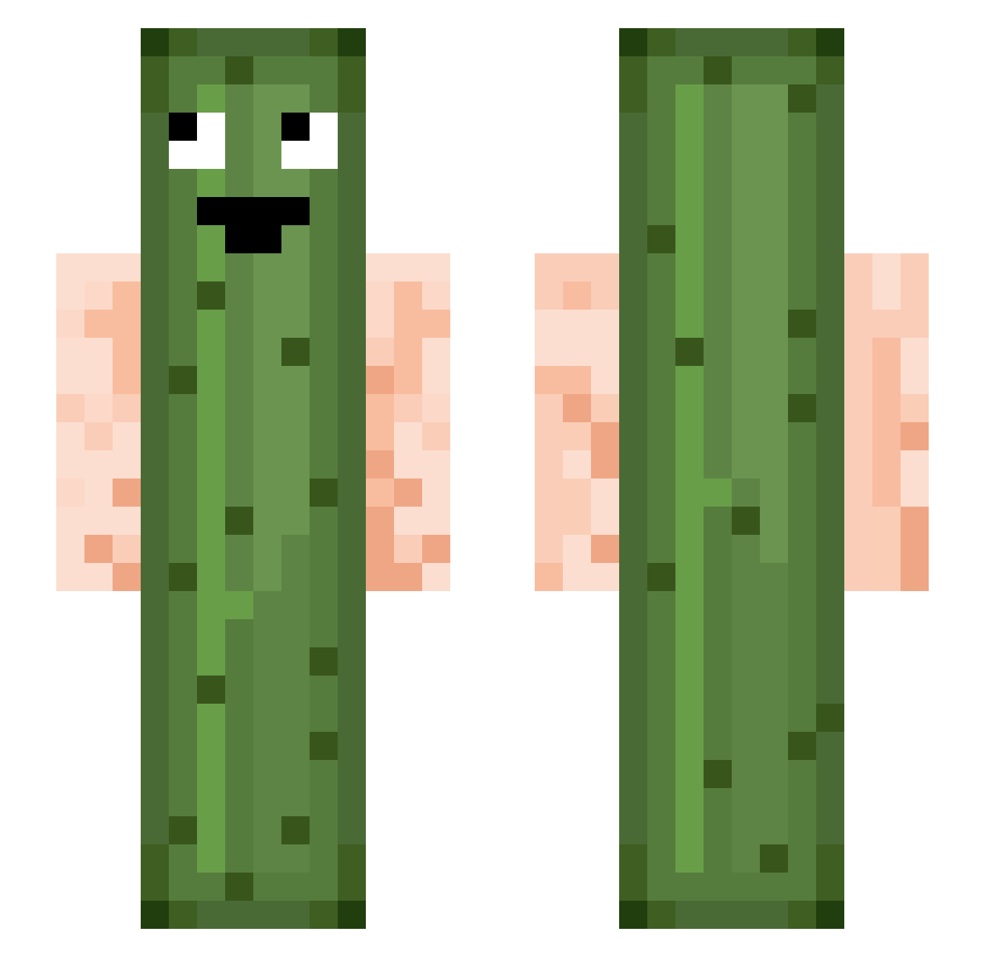 cychologic76 Minecraft skin, front and back view