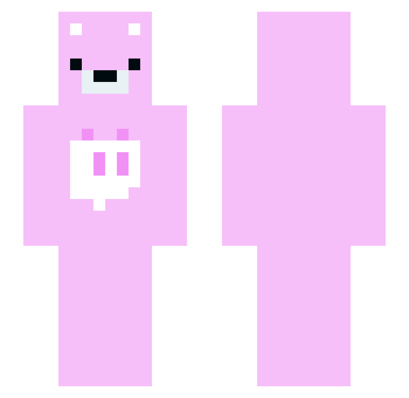 Satsuma Minecraft skin, front and back view